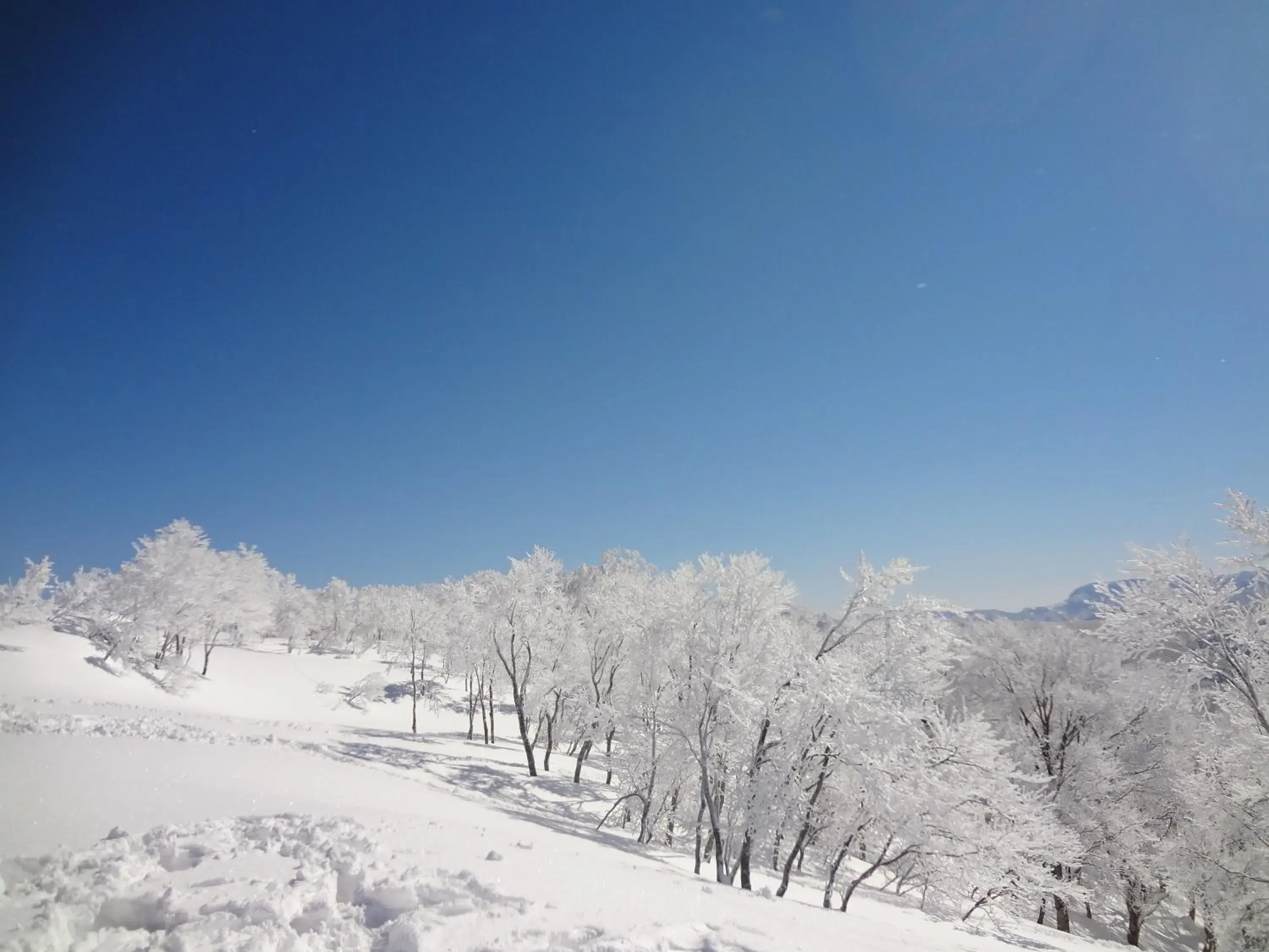 Winter in Gasthof Schi Heil