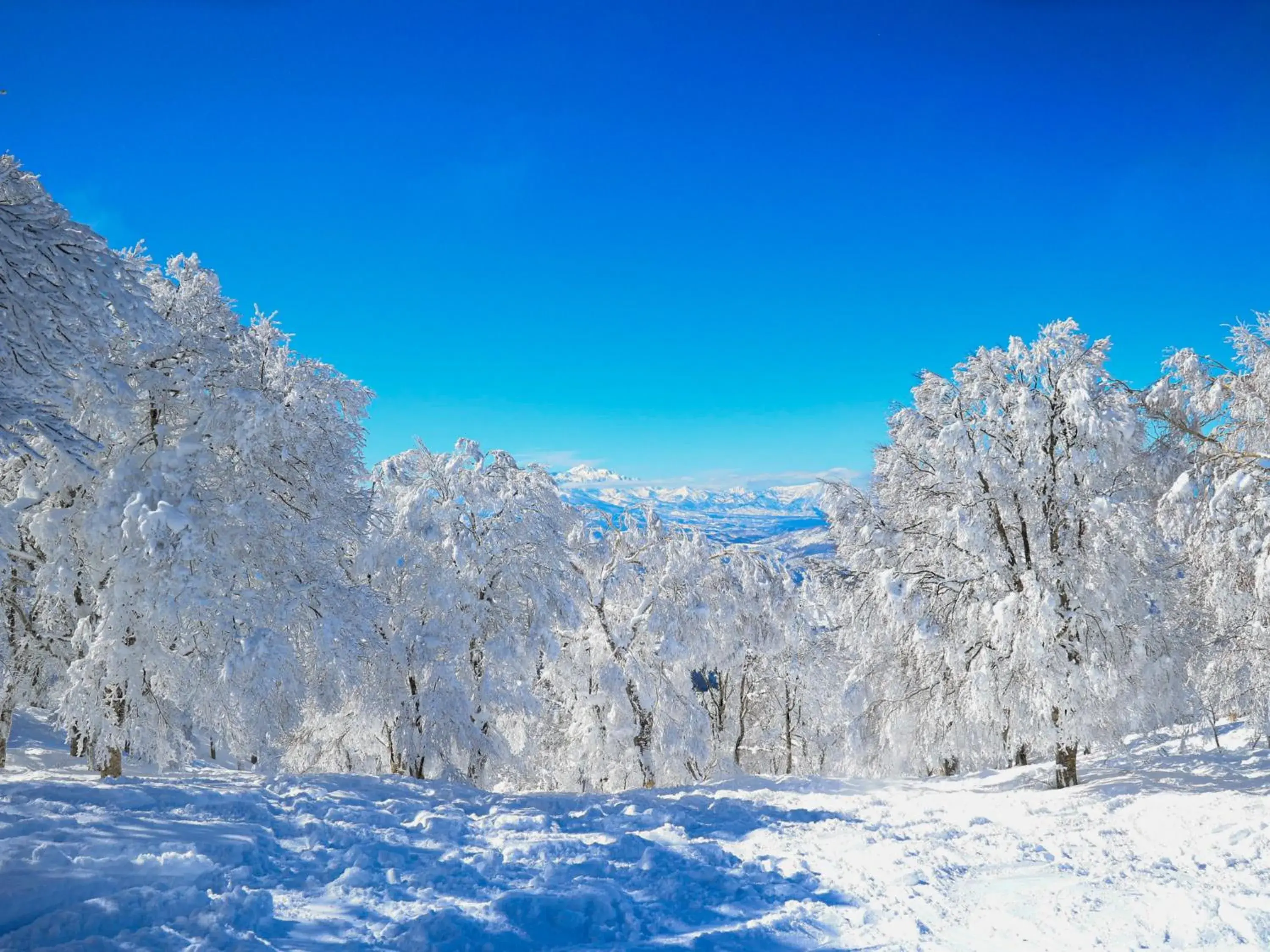 Winter in Gasthof Schi Heil