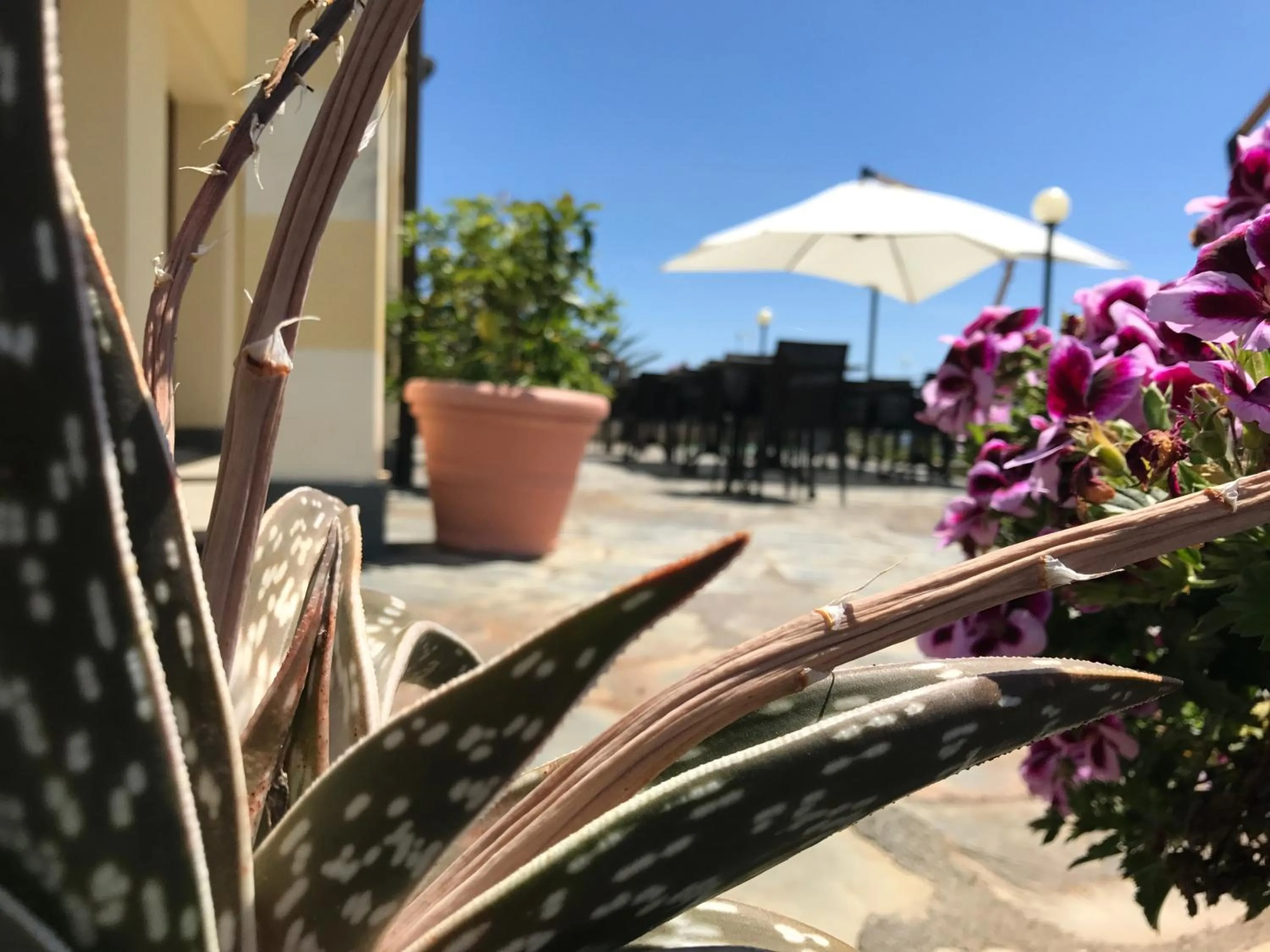 Balcony/Terrace in Albergo Luna di Marzo