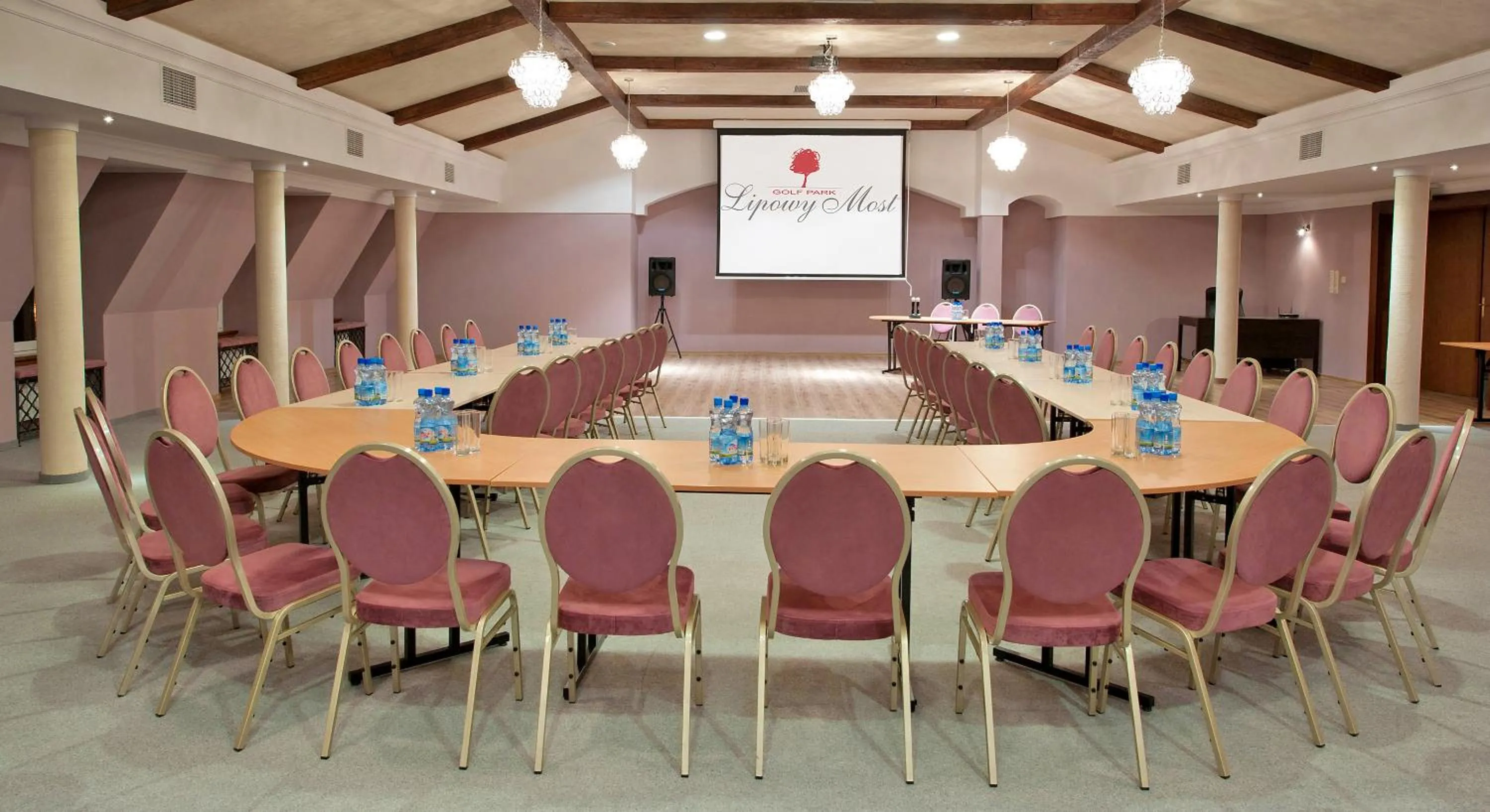 Business facilities in Hotel Lipowy Most