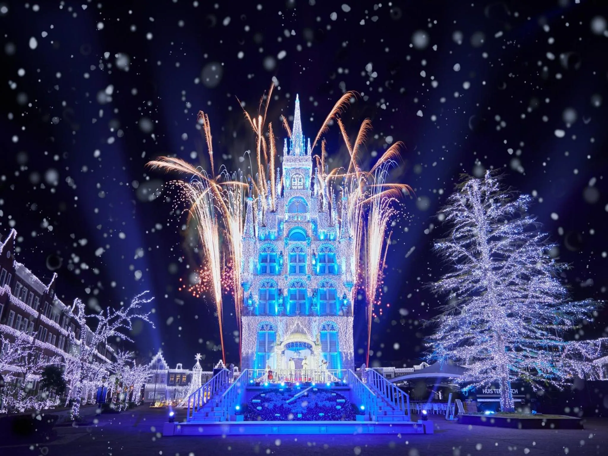 Activities in Forest Villa Huis Ten Bosch