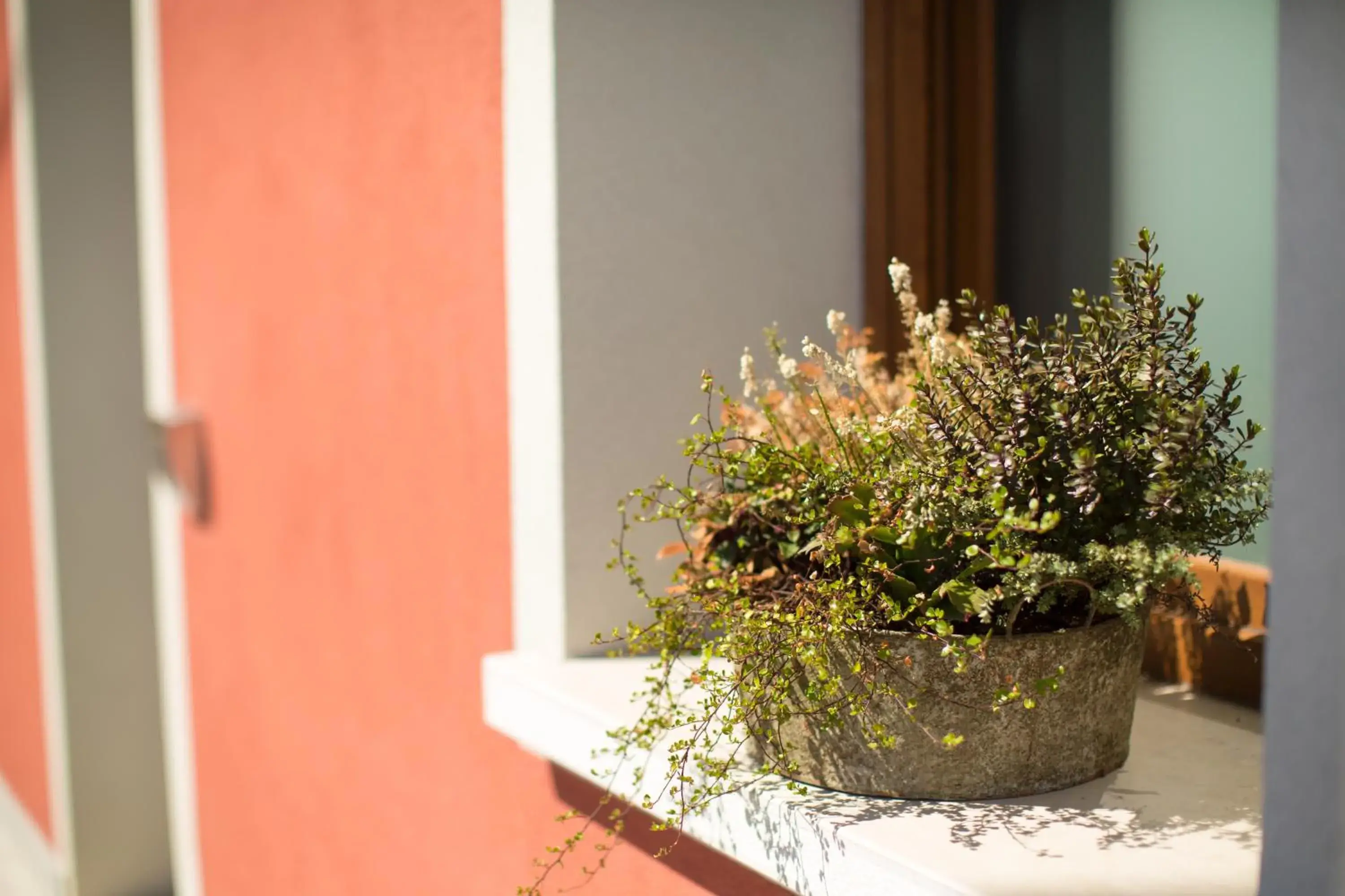 Property building in Guest House Bella Onda Property building in Guest House Bella Onda