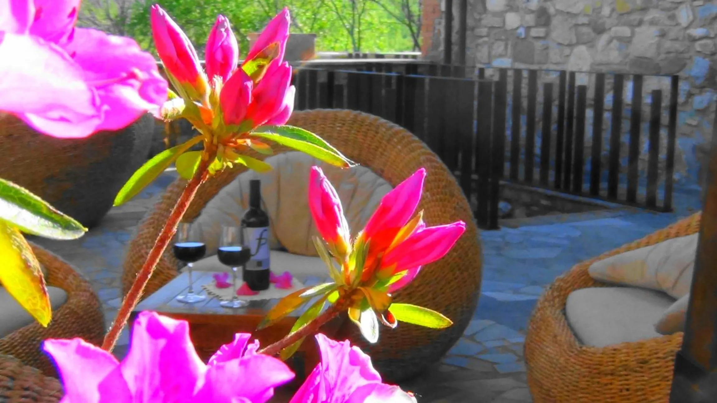 Day in Fattoria Pianetti