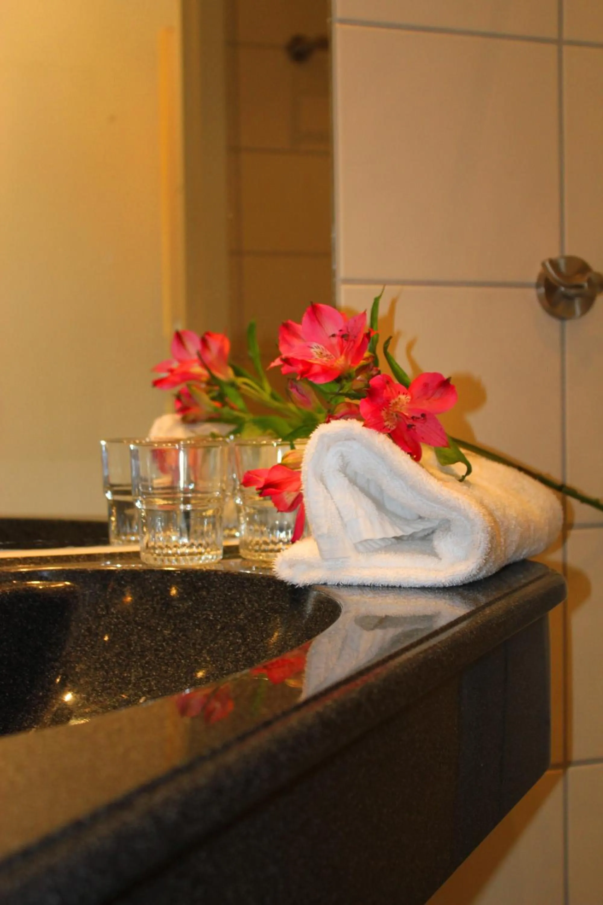 Shower in Heimat Brokelandsheia