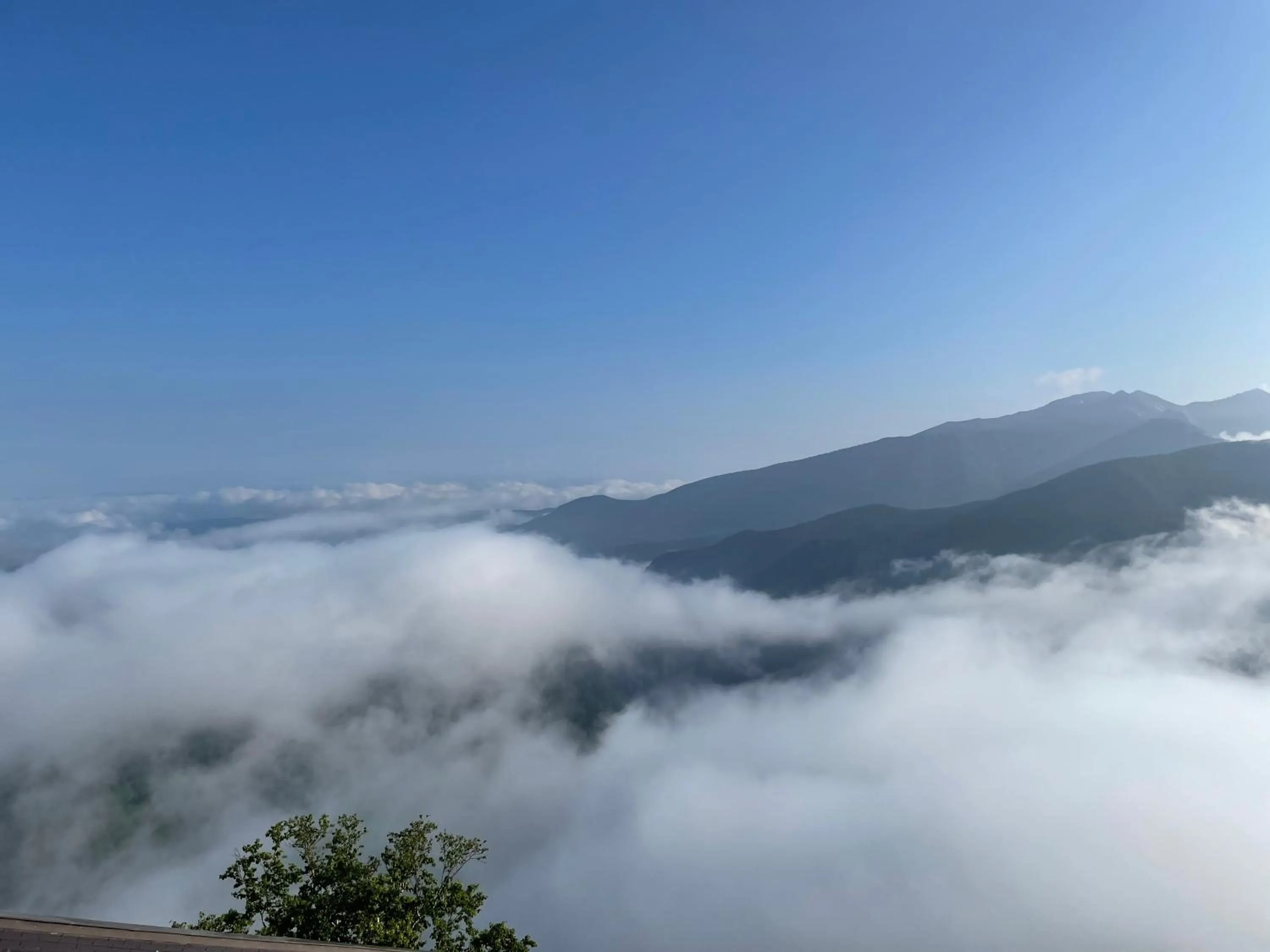 Nearby landmark in Choyo Tei