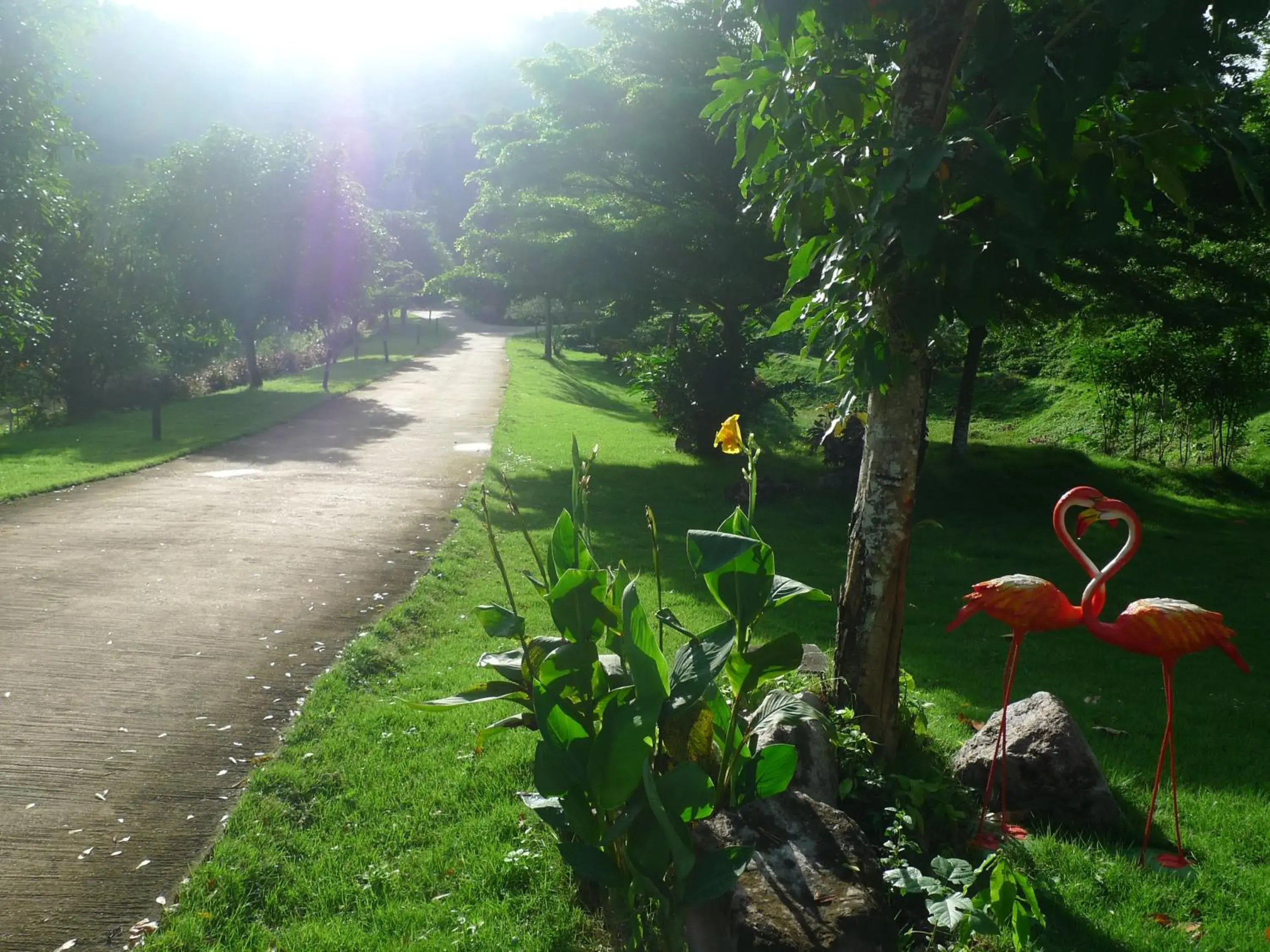 Facade/entrance in Hi-scene Resort Facade/entrance in Hi-scene Resort