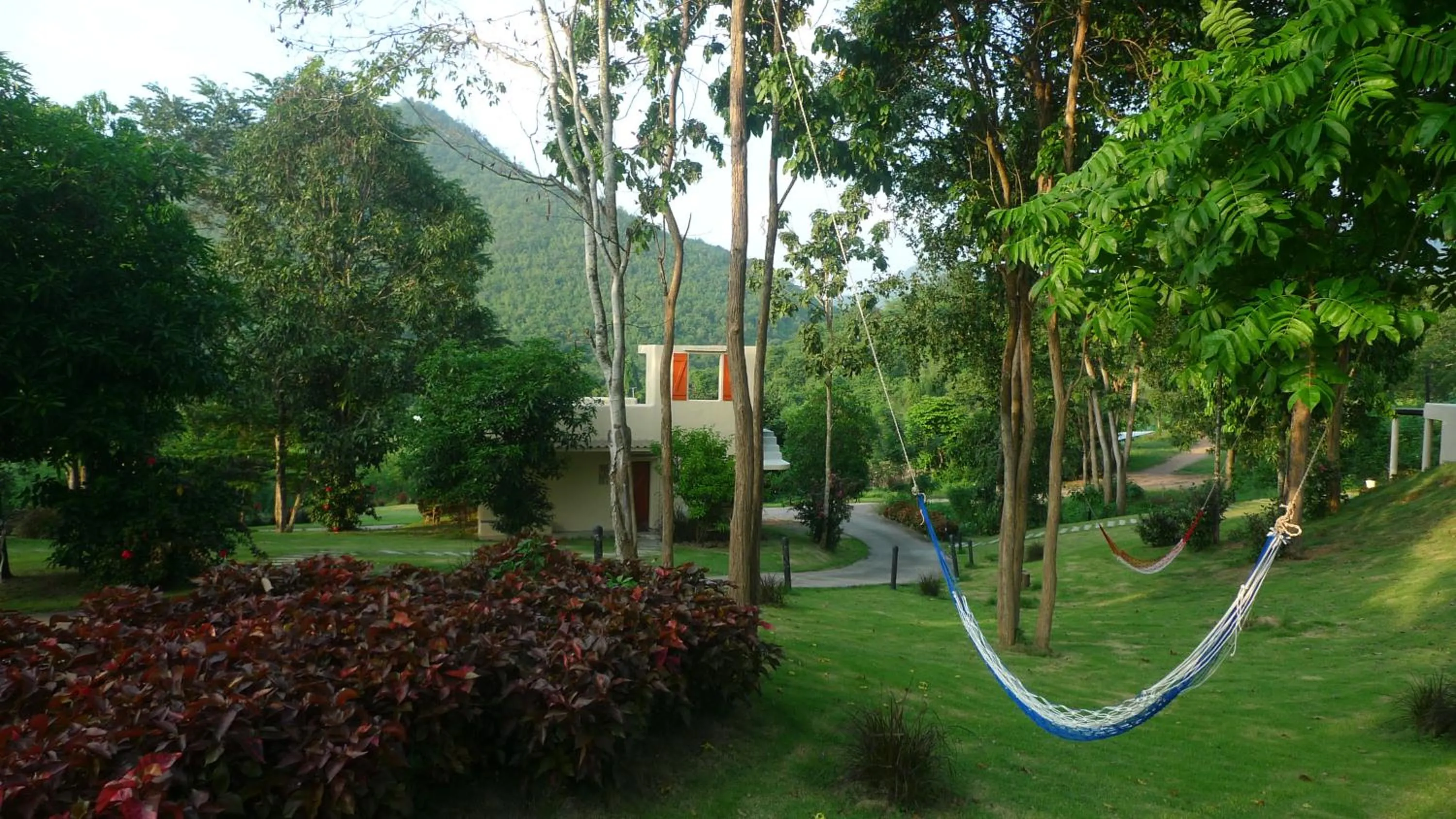 Garden in Hi-scene Resort
