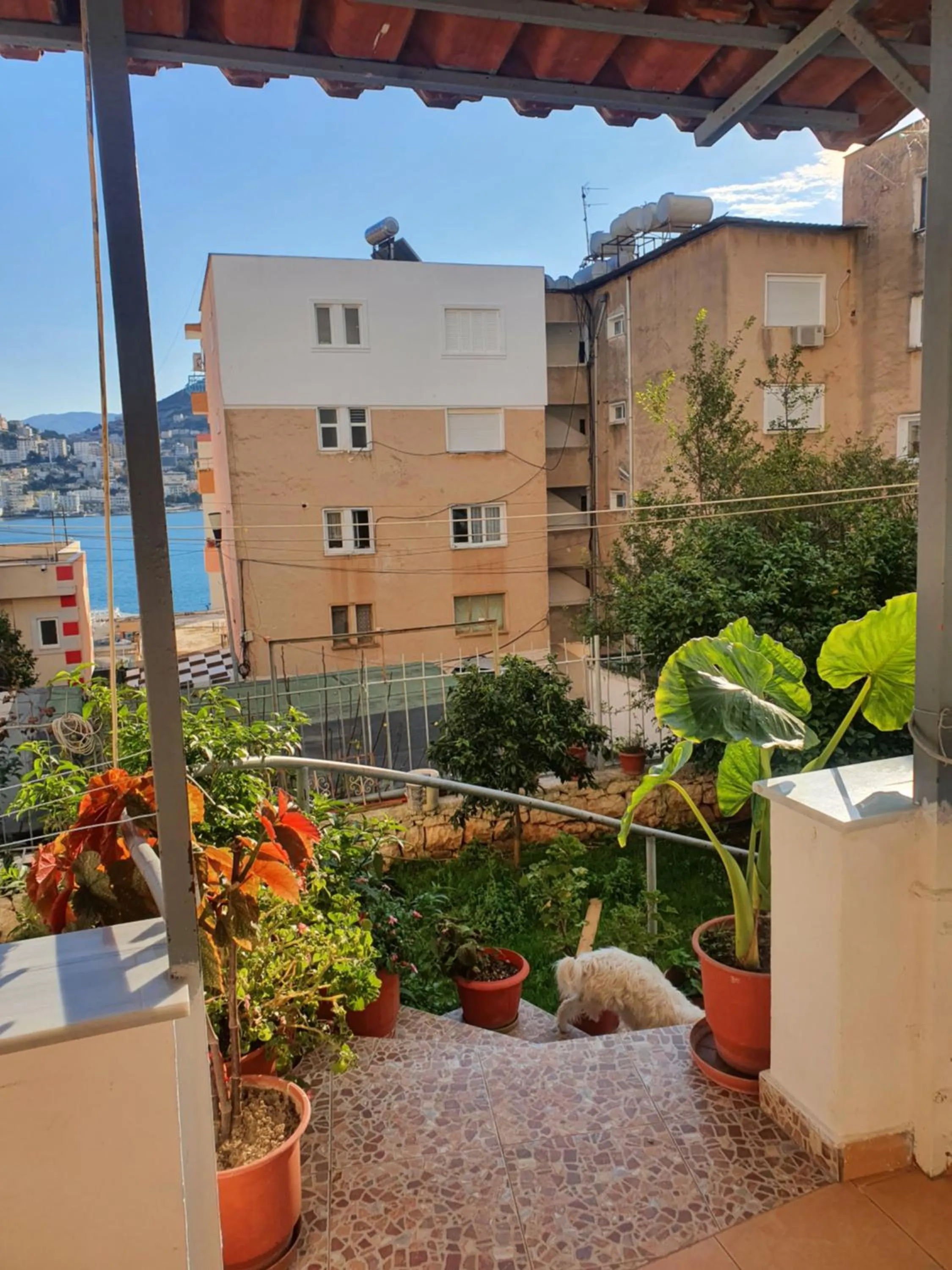 Neighbourhood in Loi apartment