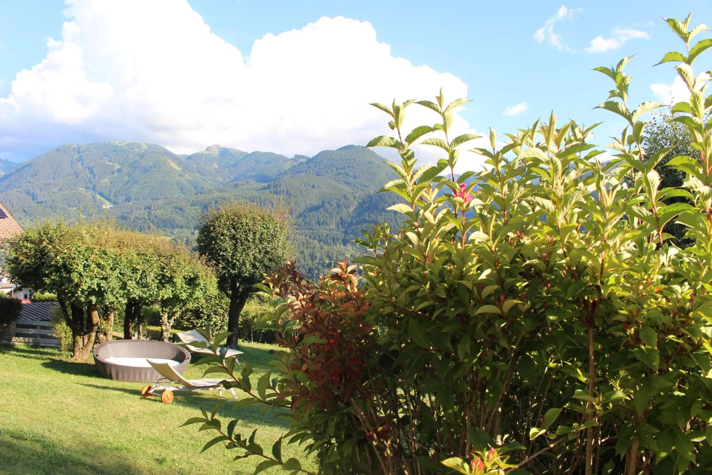Garden in Park Hotel Bellacosta
