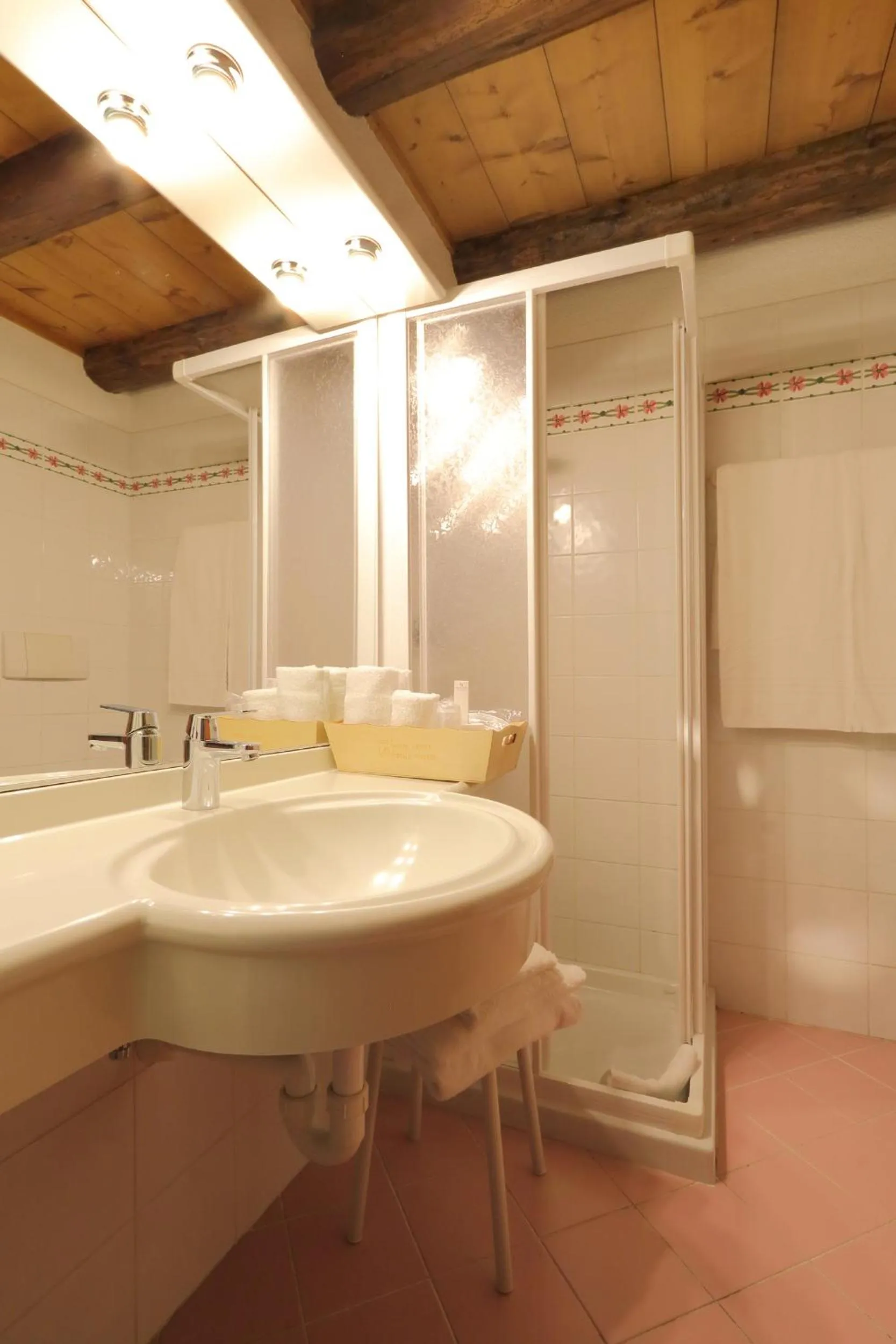 Shower in Park Hotel Bellacosta