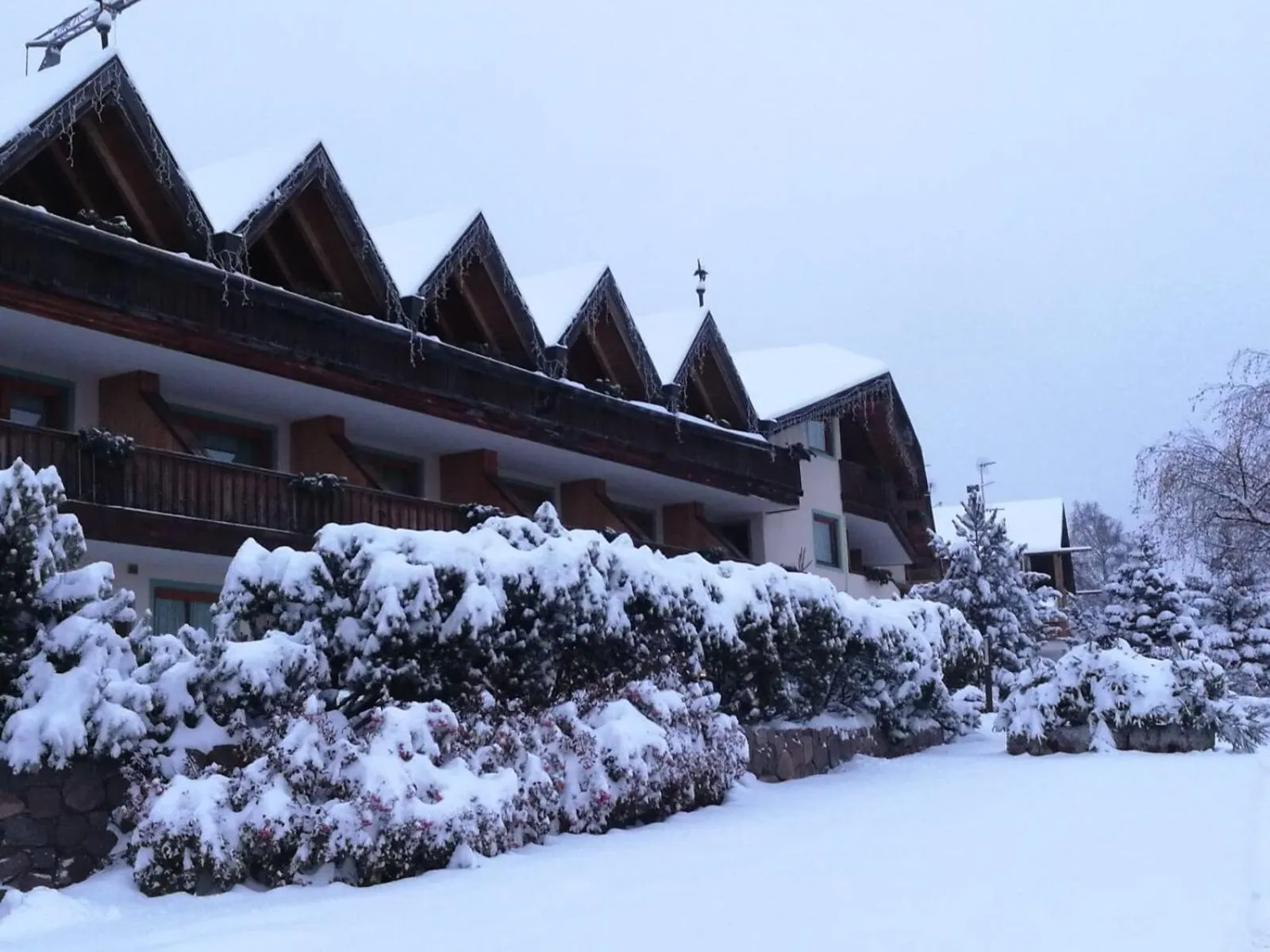 Facade/entrance in Park Hotel Bellacosta