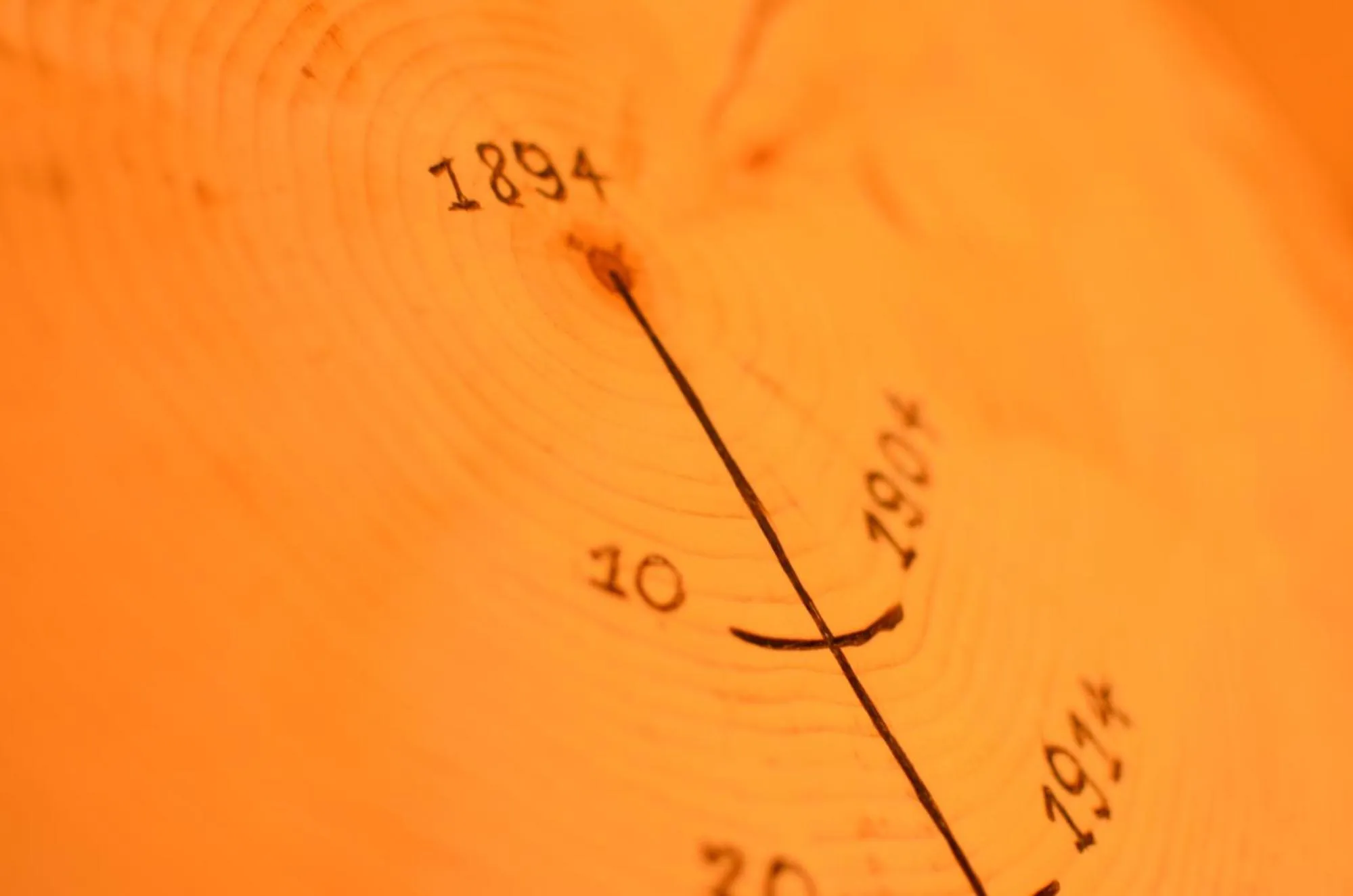 Decorative detail in Park Hotel Bellacosta