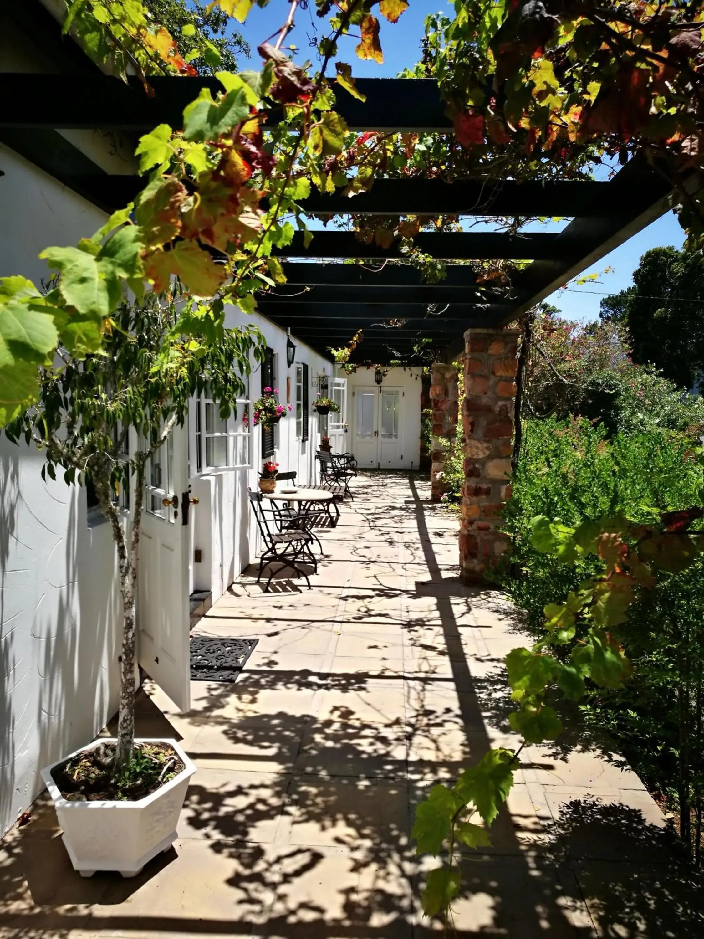 Patio in Forest Hall Guest House Patio in Forest Hall Guest House