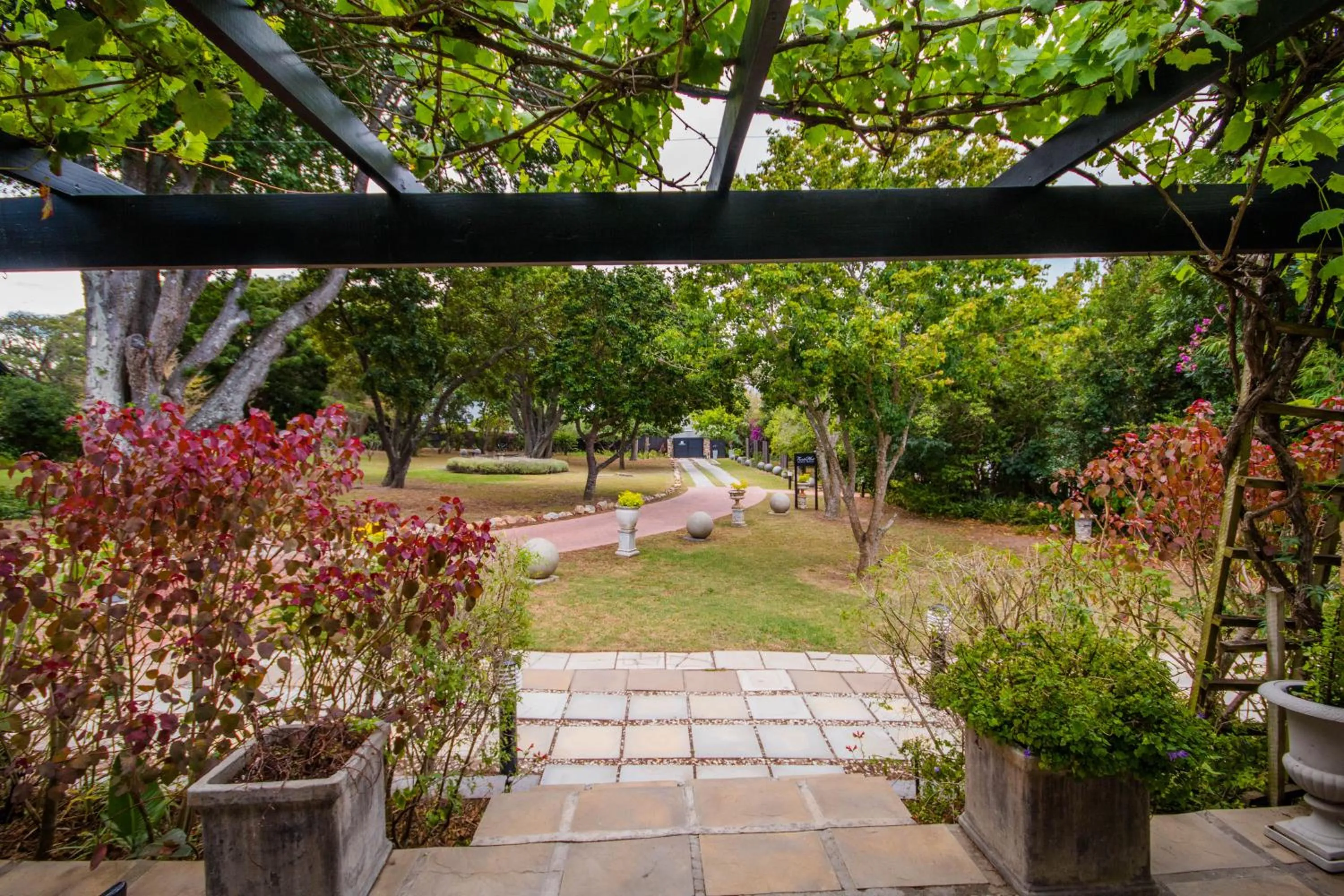 Natural landscape in Forest Hall Guest House