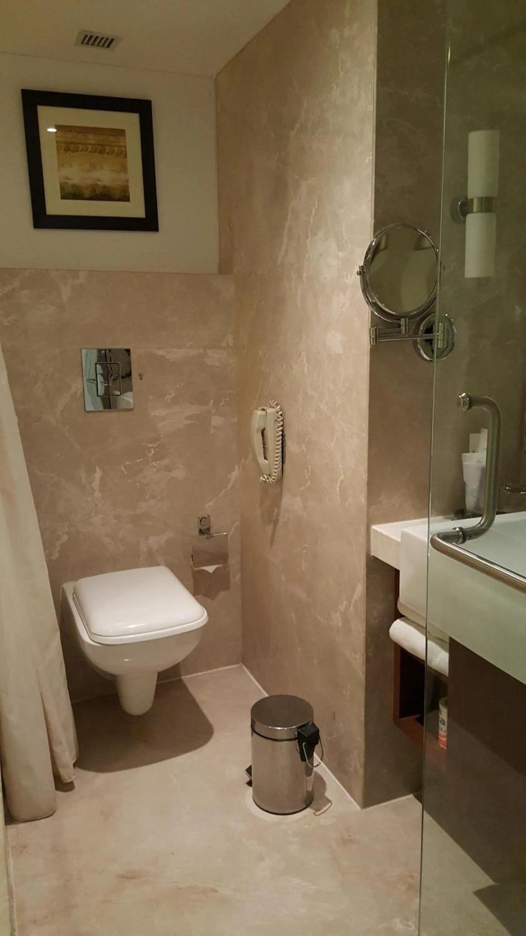 Bathroom in Royal Orchid Central Vadodara