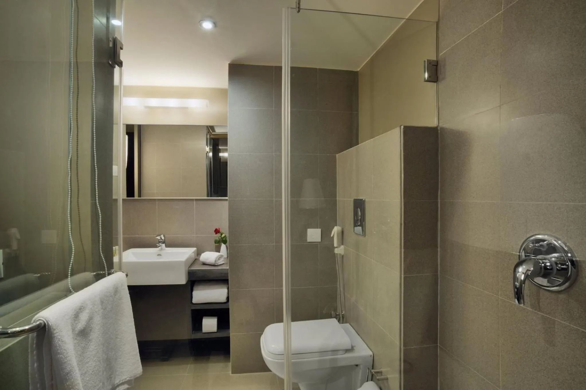 Toilet in Royal Orchid Central Vadodara