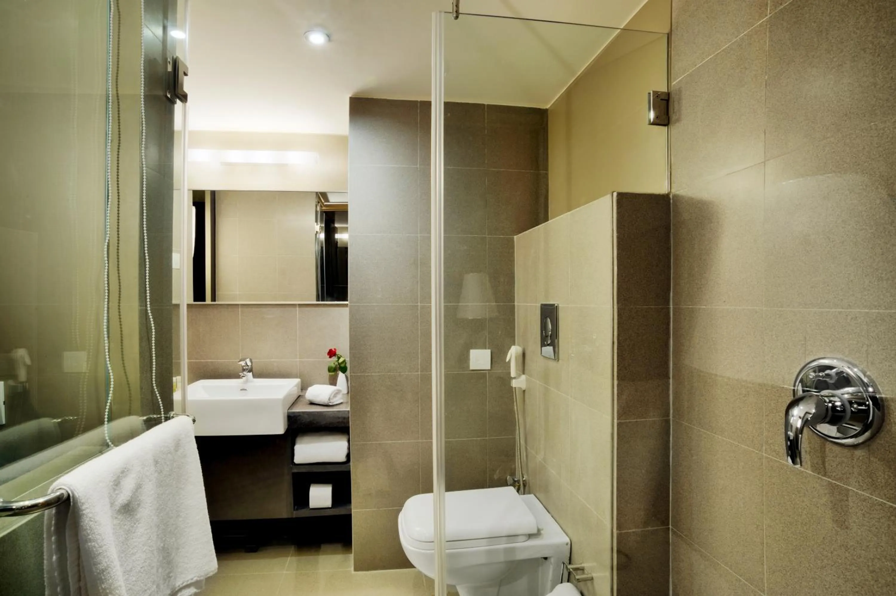 Toilet in Royal Orchid Central Vadodara