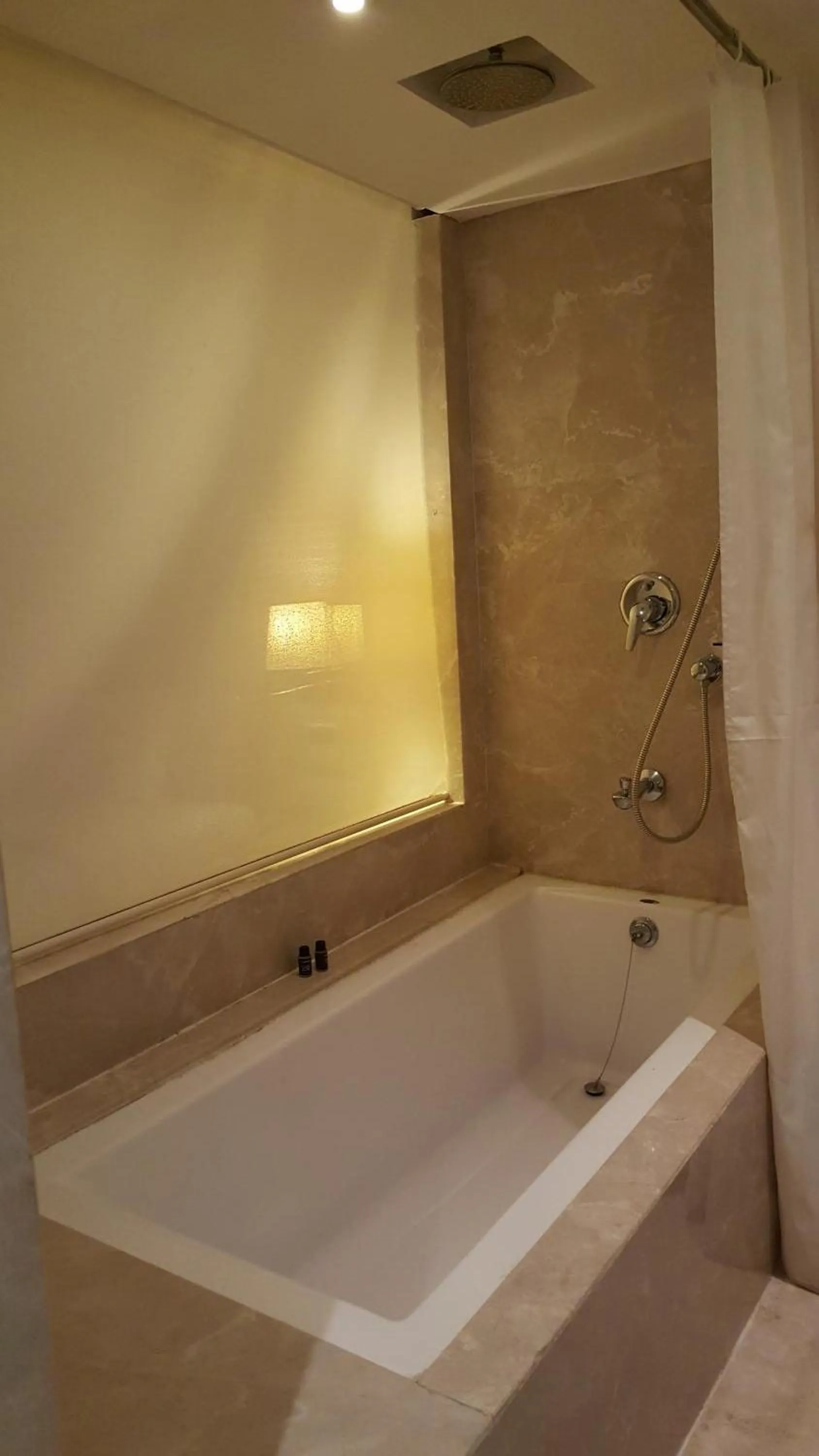 Bathroom in Royal Orchid Central Vadodara