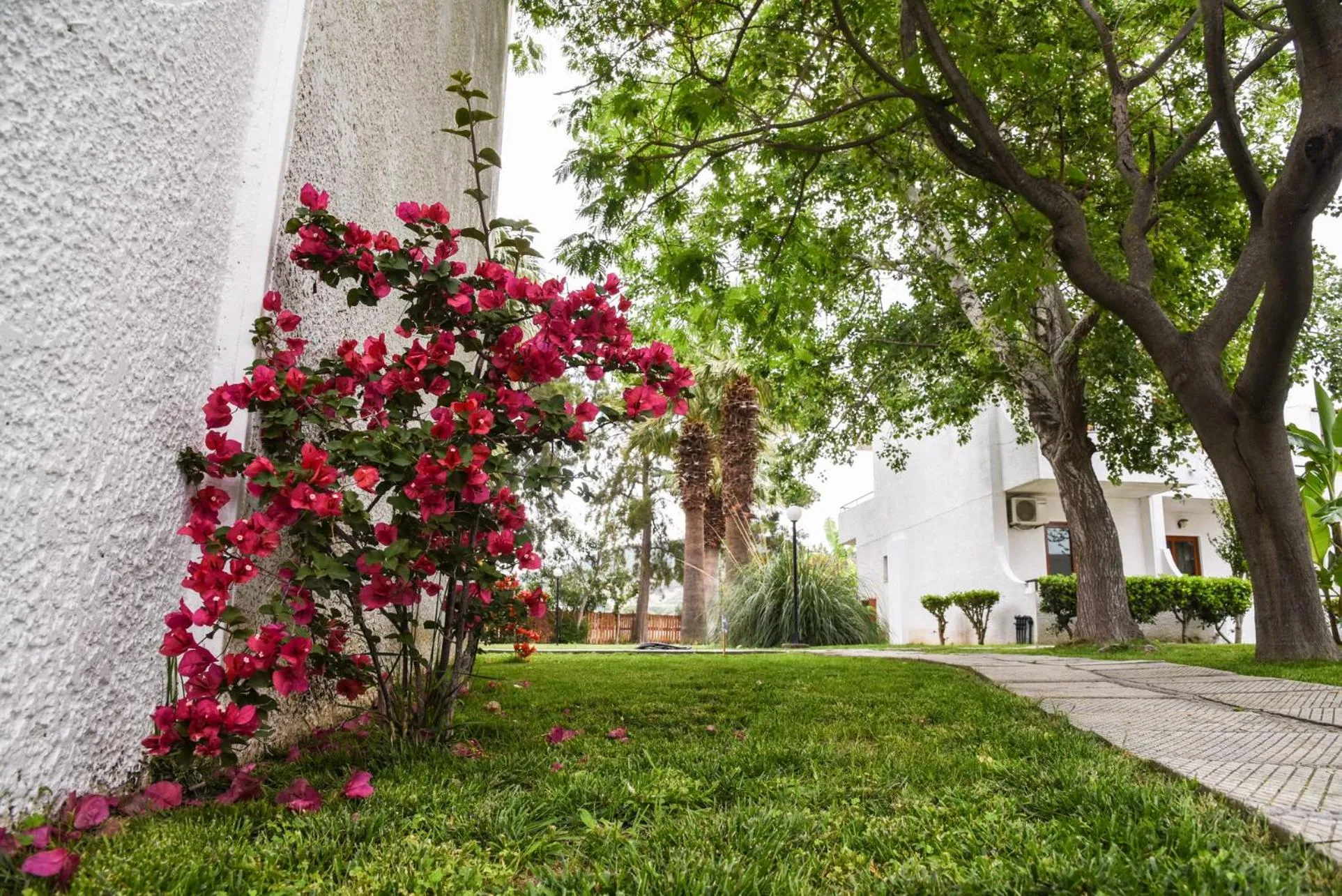Garden in Vallian Village Hotel