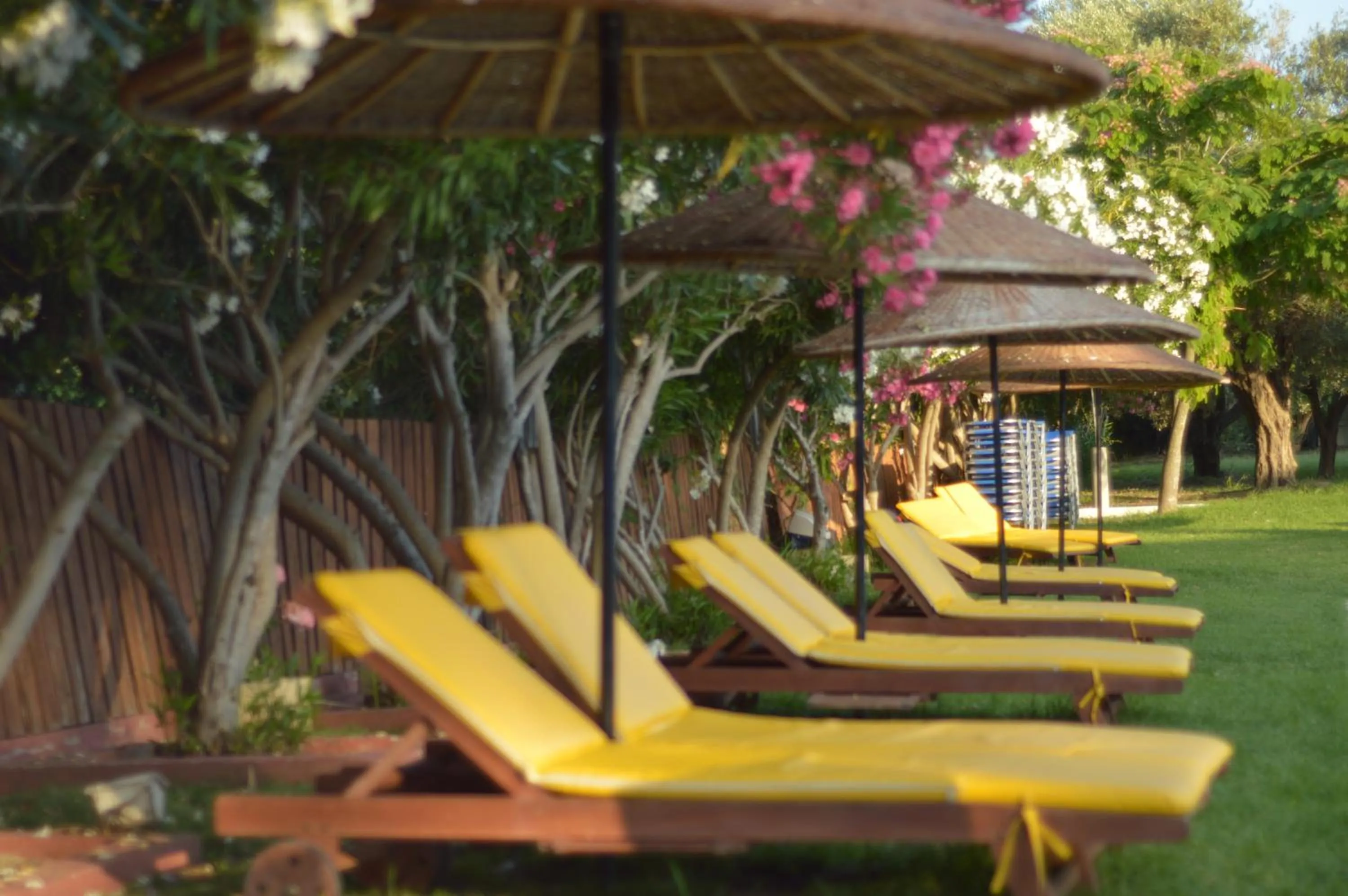 Day in Vallian Village Hotel