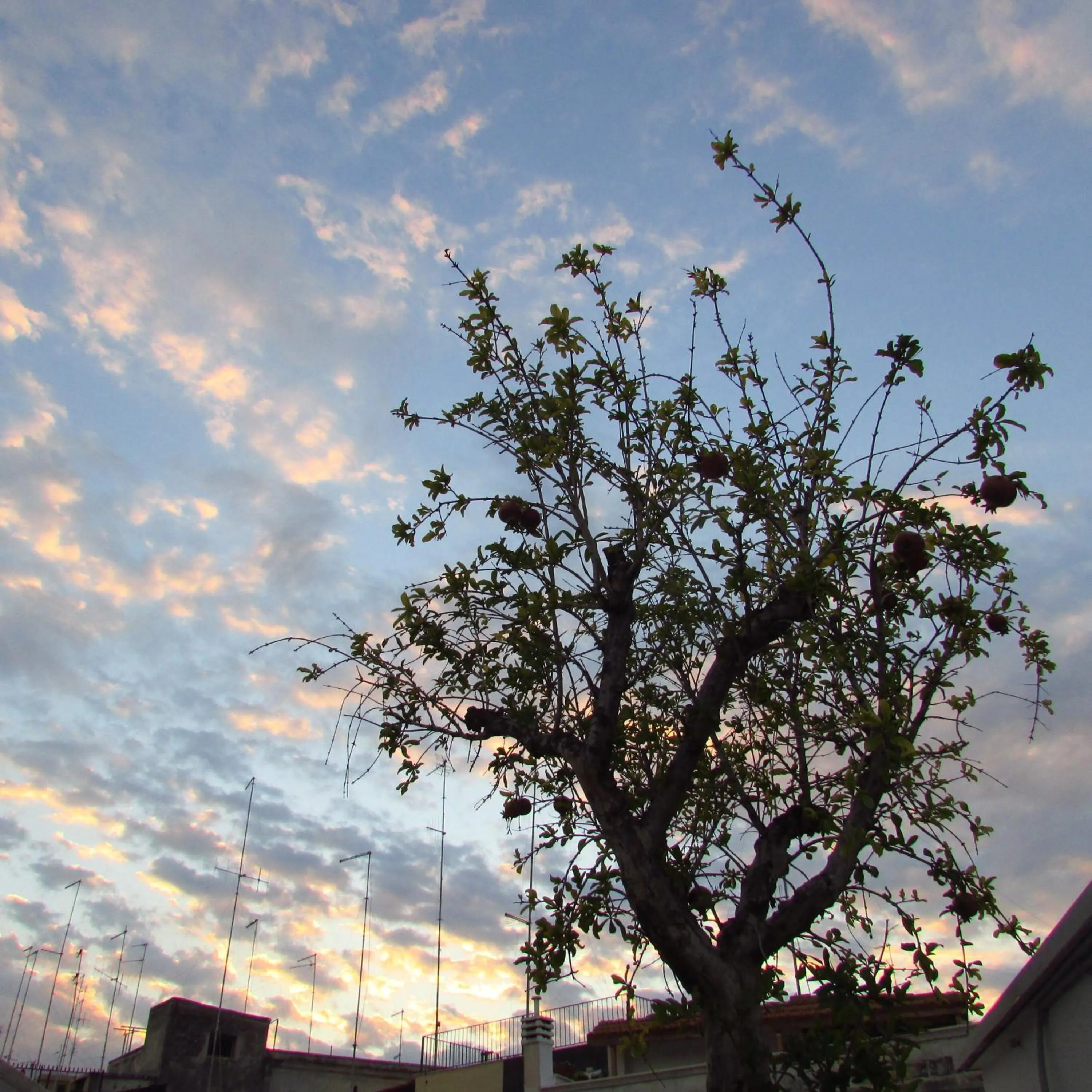 Balcony/Terrace in B&B La Muraglia