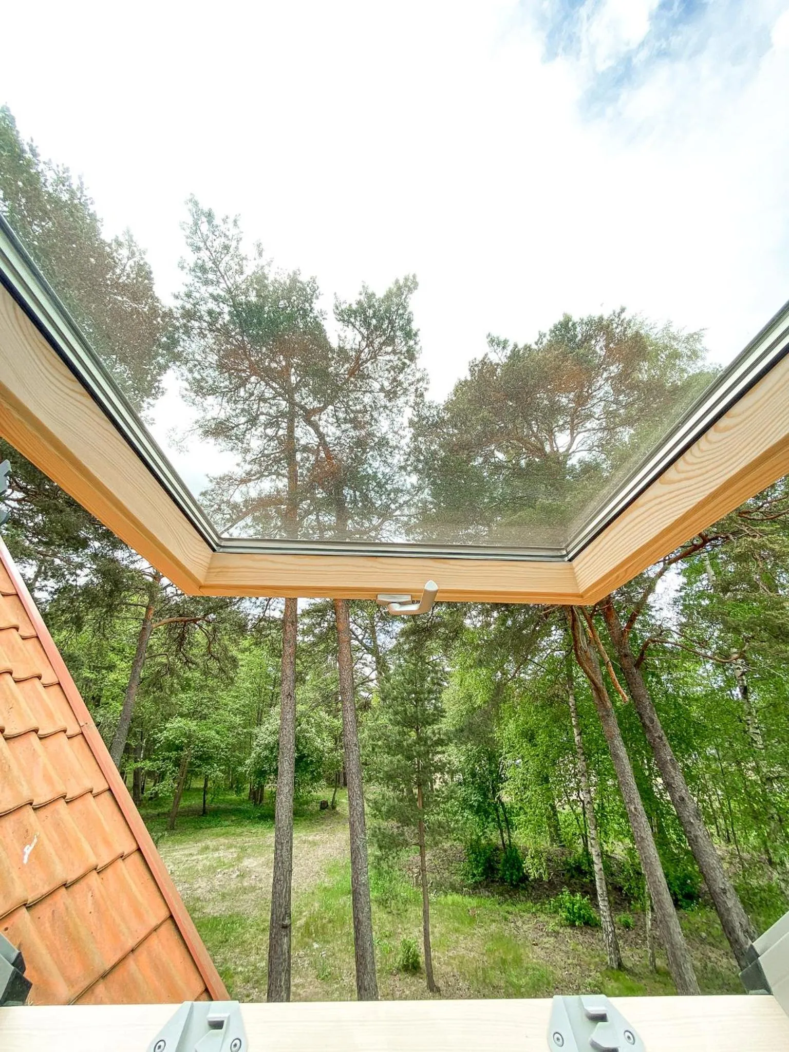 Garden view in Hotel Palanga Camping