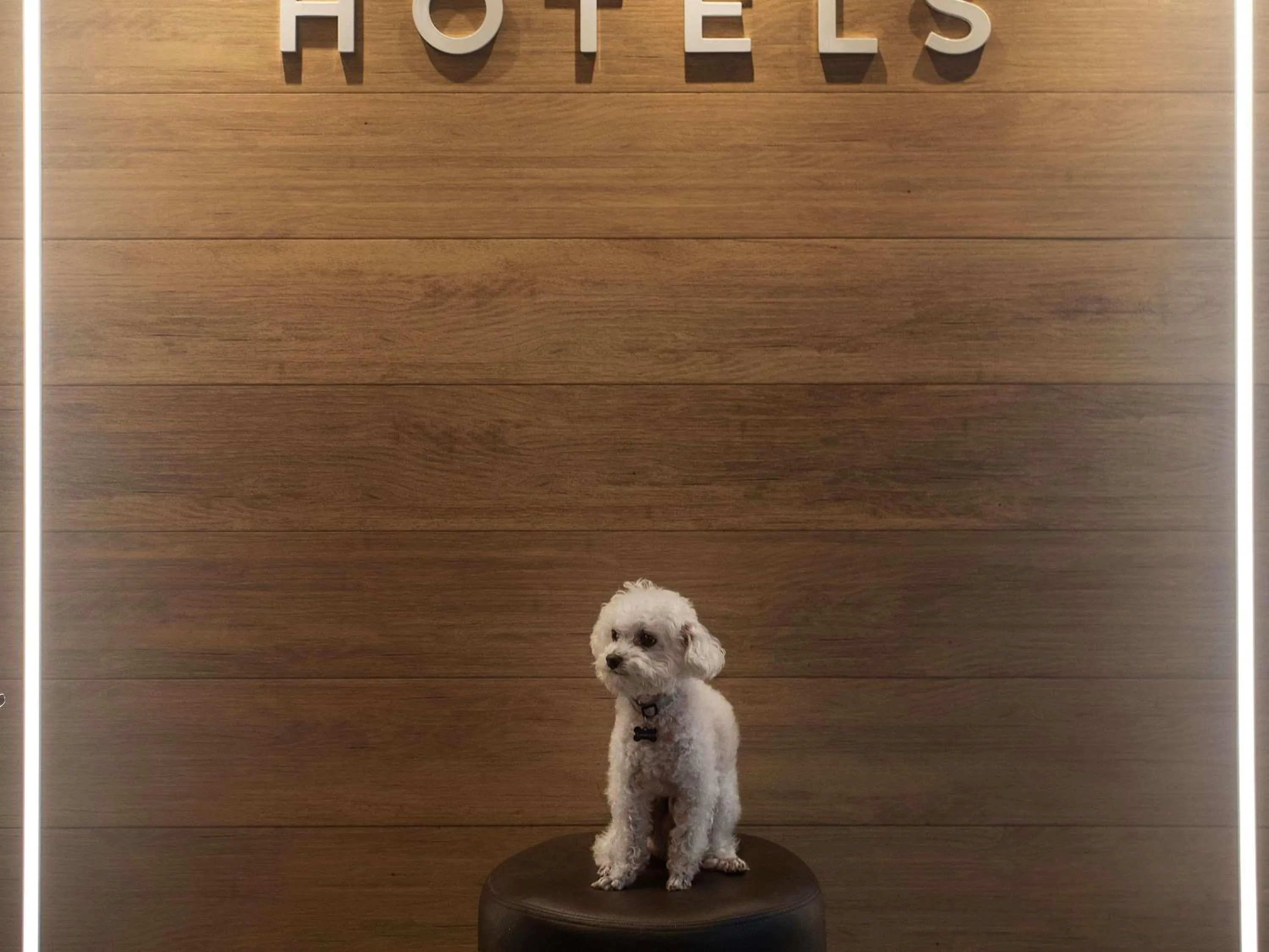 Other in Mercure Maceio Pajuçara