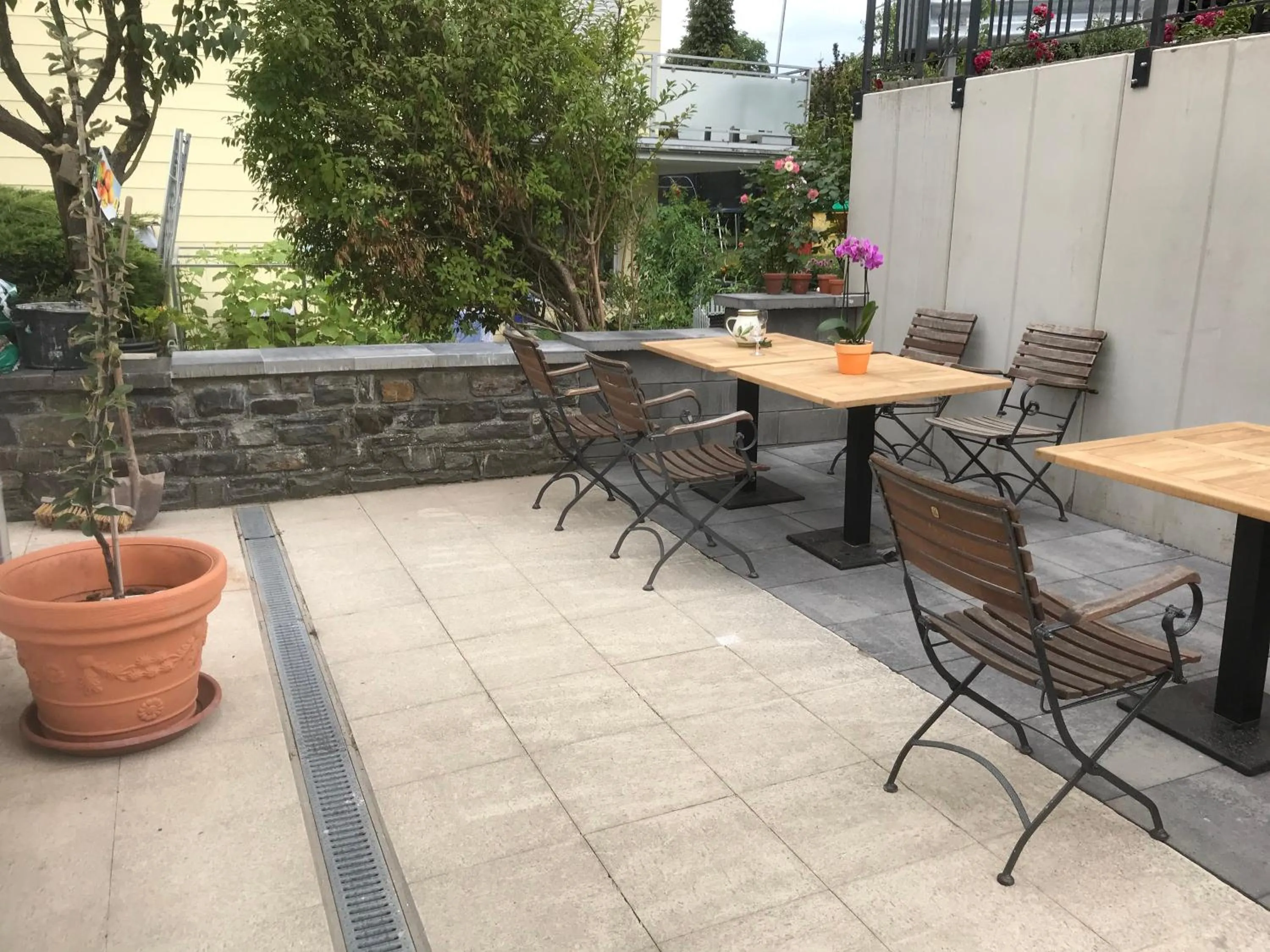 Garden in La Maison Vintage