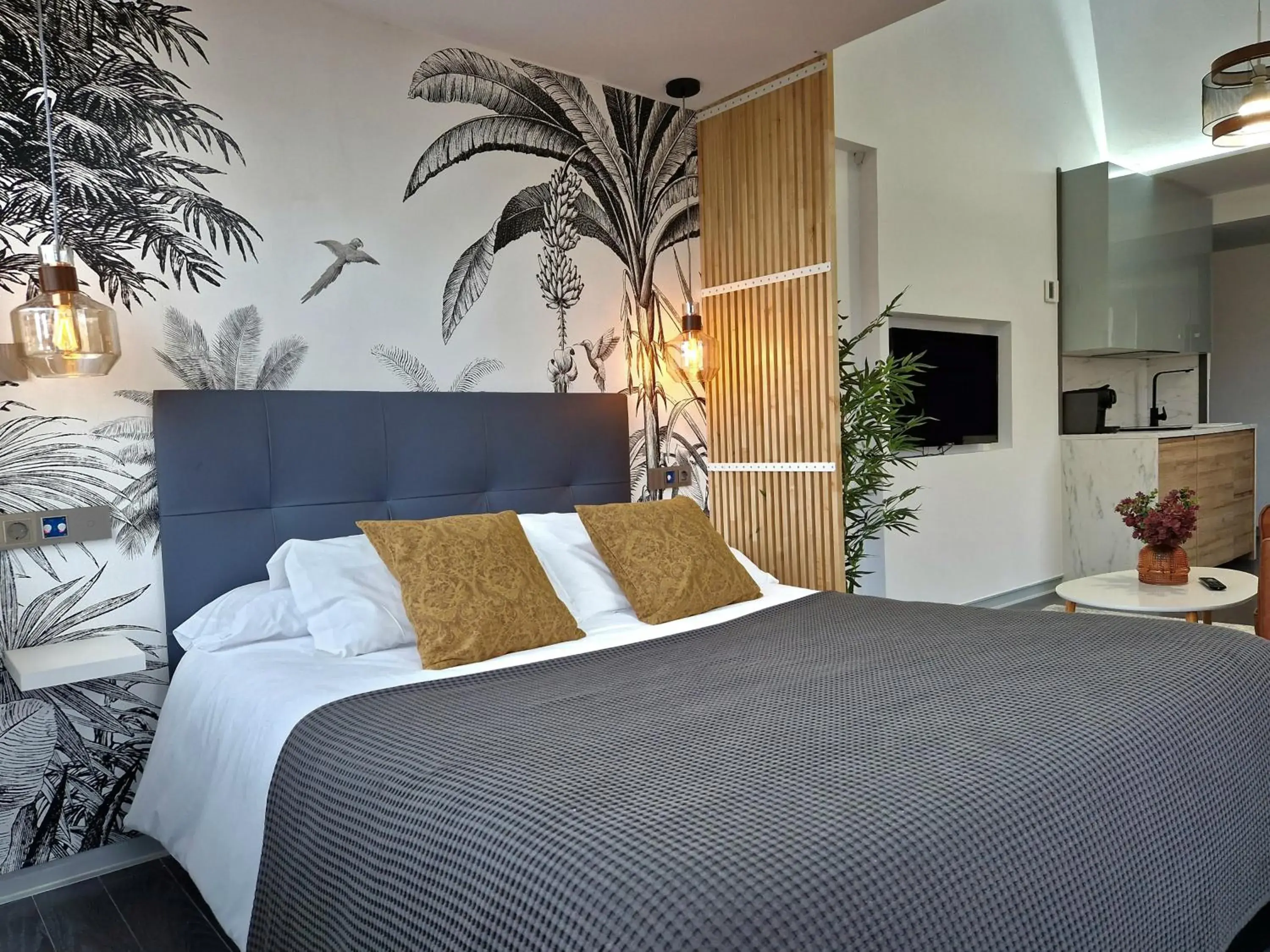 Standard Studio in Plasencia Plaza Mayor Luxury Standard Studio in Plasencia Plaza Mayor Luxury