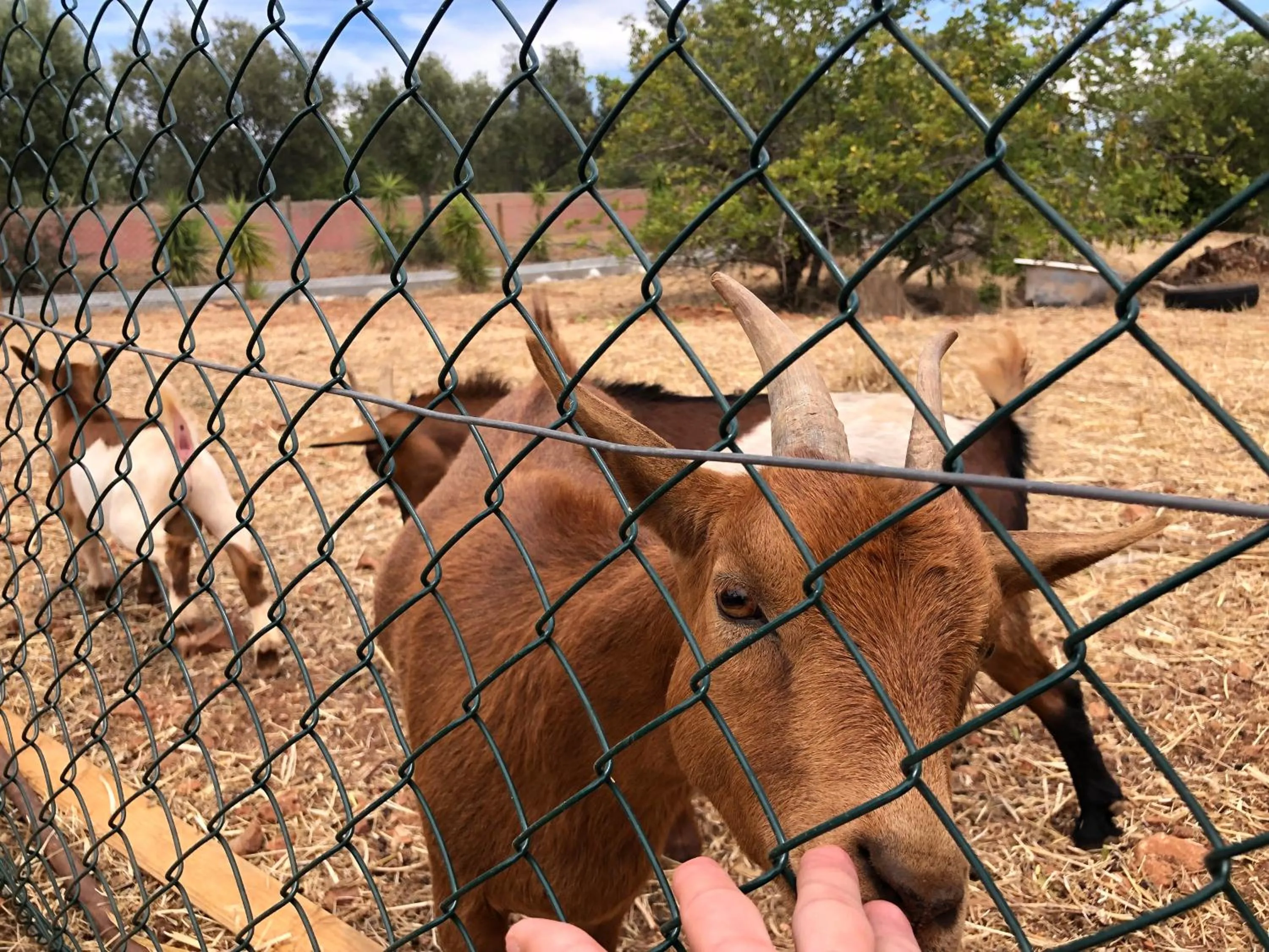 Day in Quinta da Joia