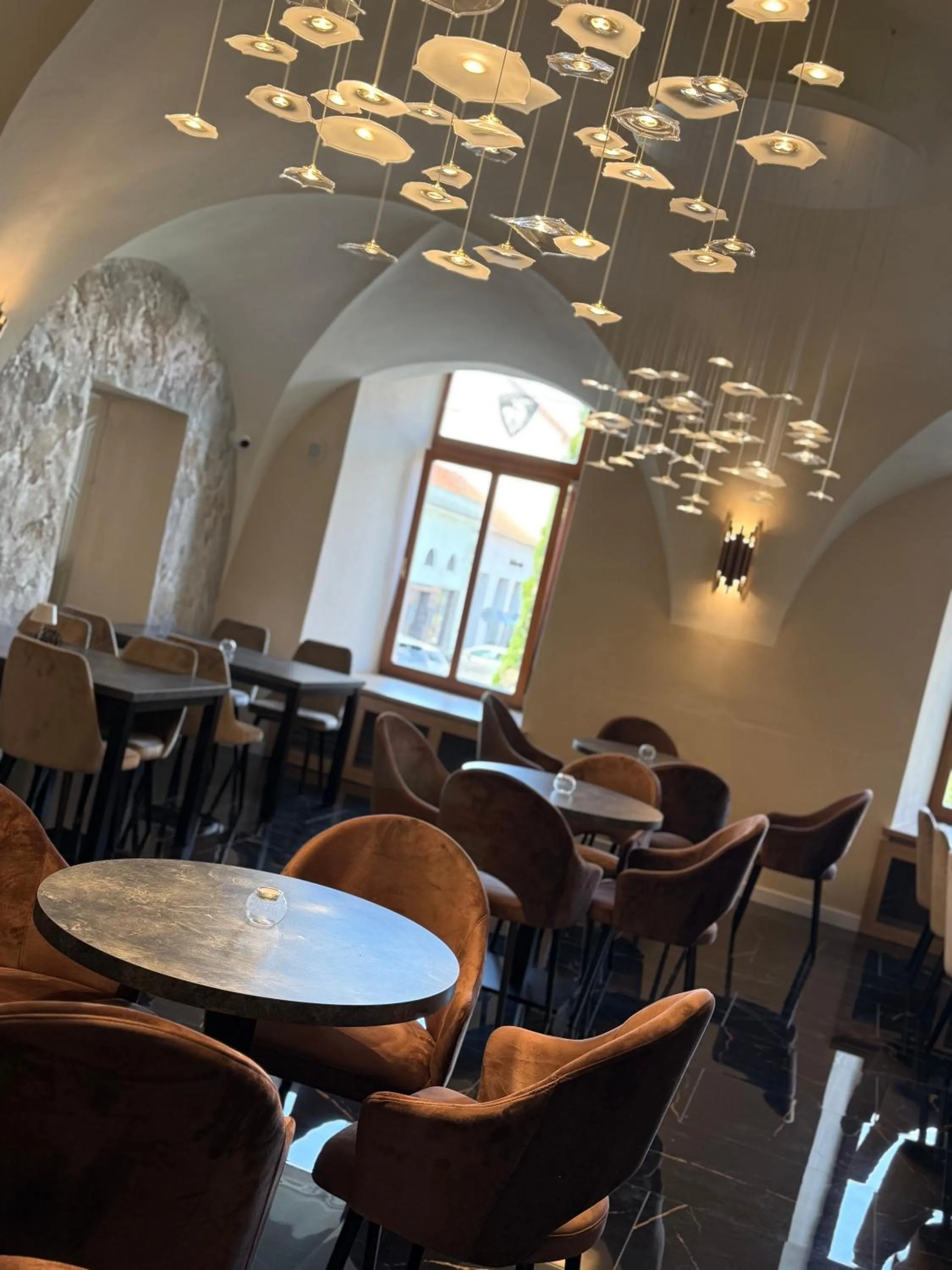 Restaurant/places to eat in Hotel Jelen