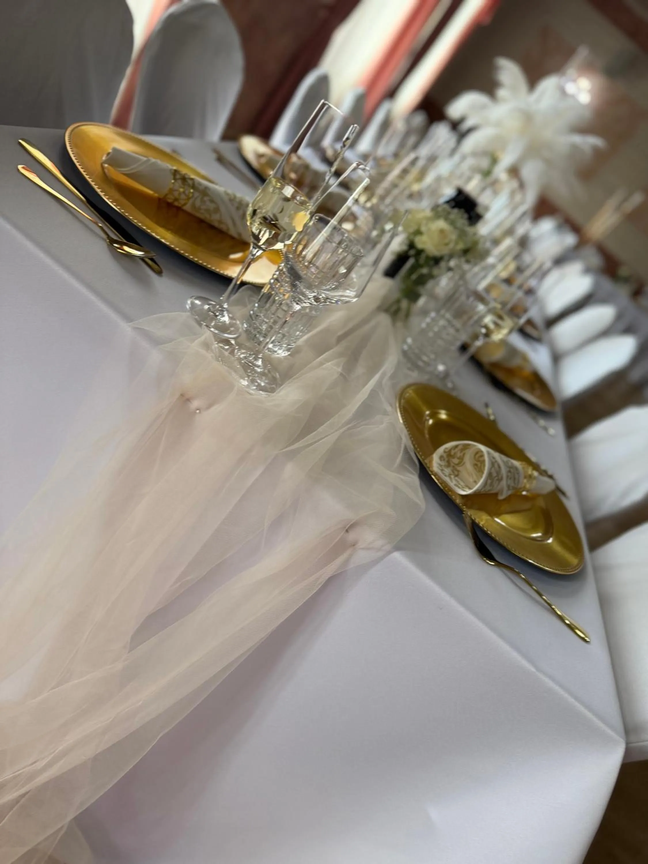 Food and drinks in Hotel Jelen