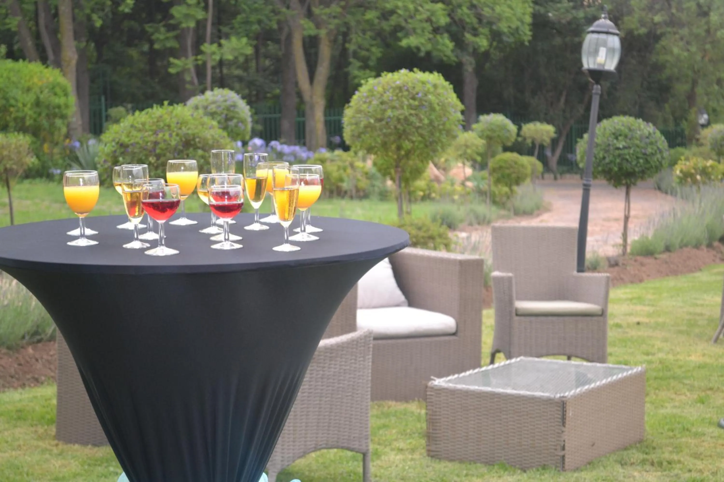 Drinks in Hoyohoyo Chartwell Lodge