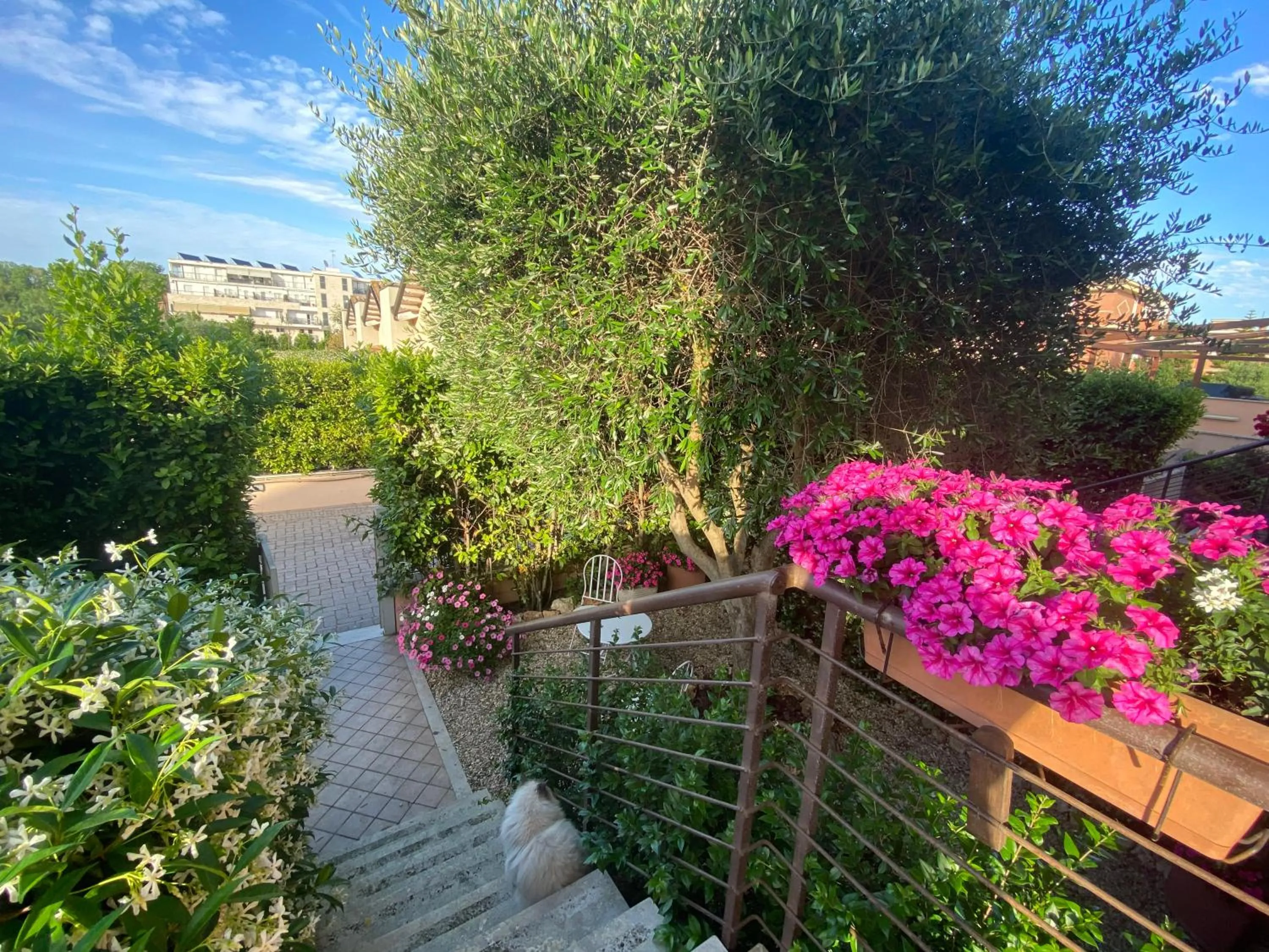 Garden in B&B L'Ulivo Fiumicino