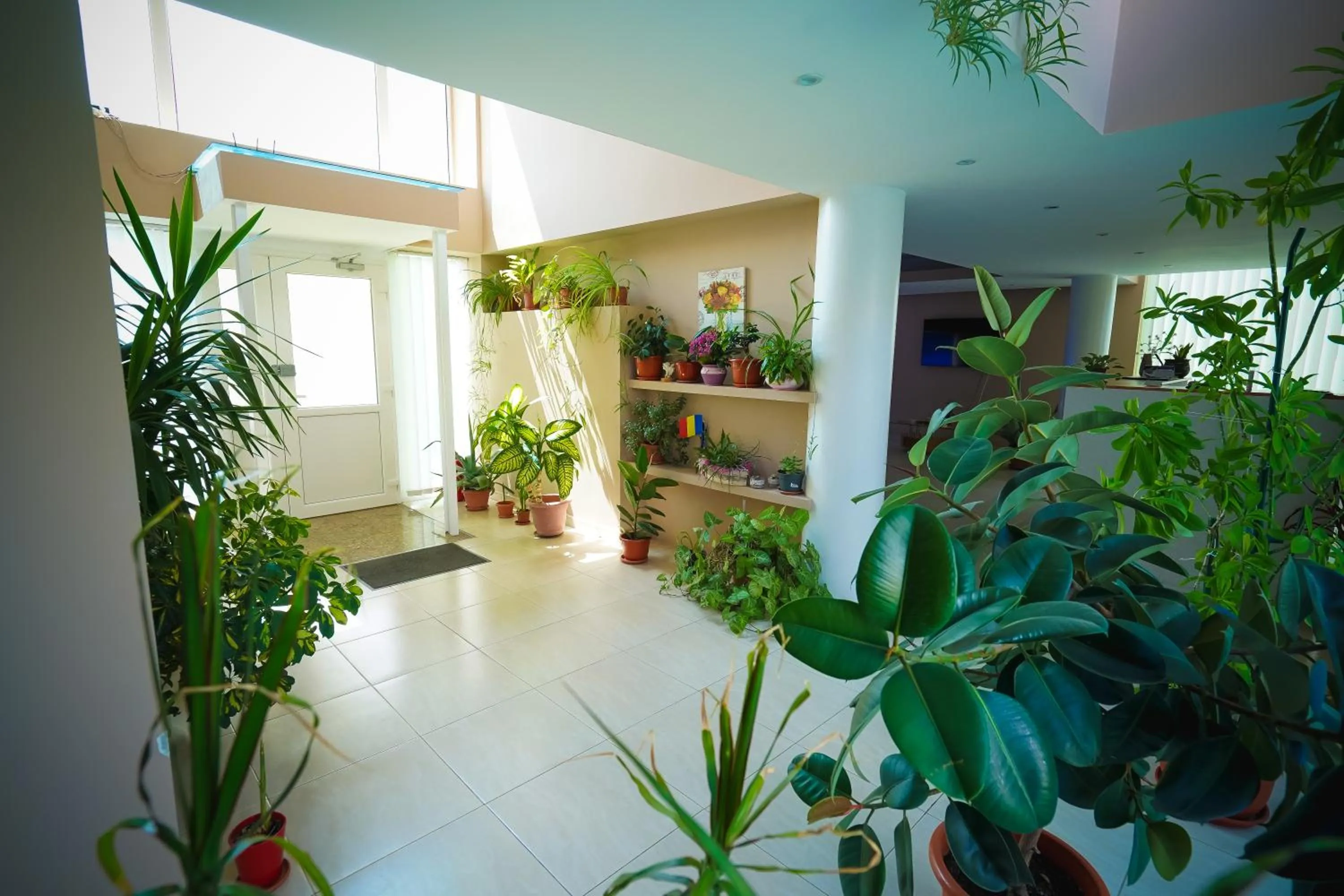 Facade/entrance in Pensiunea Dolce