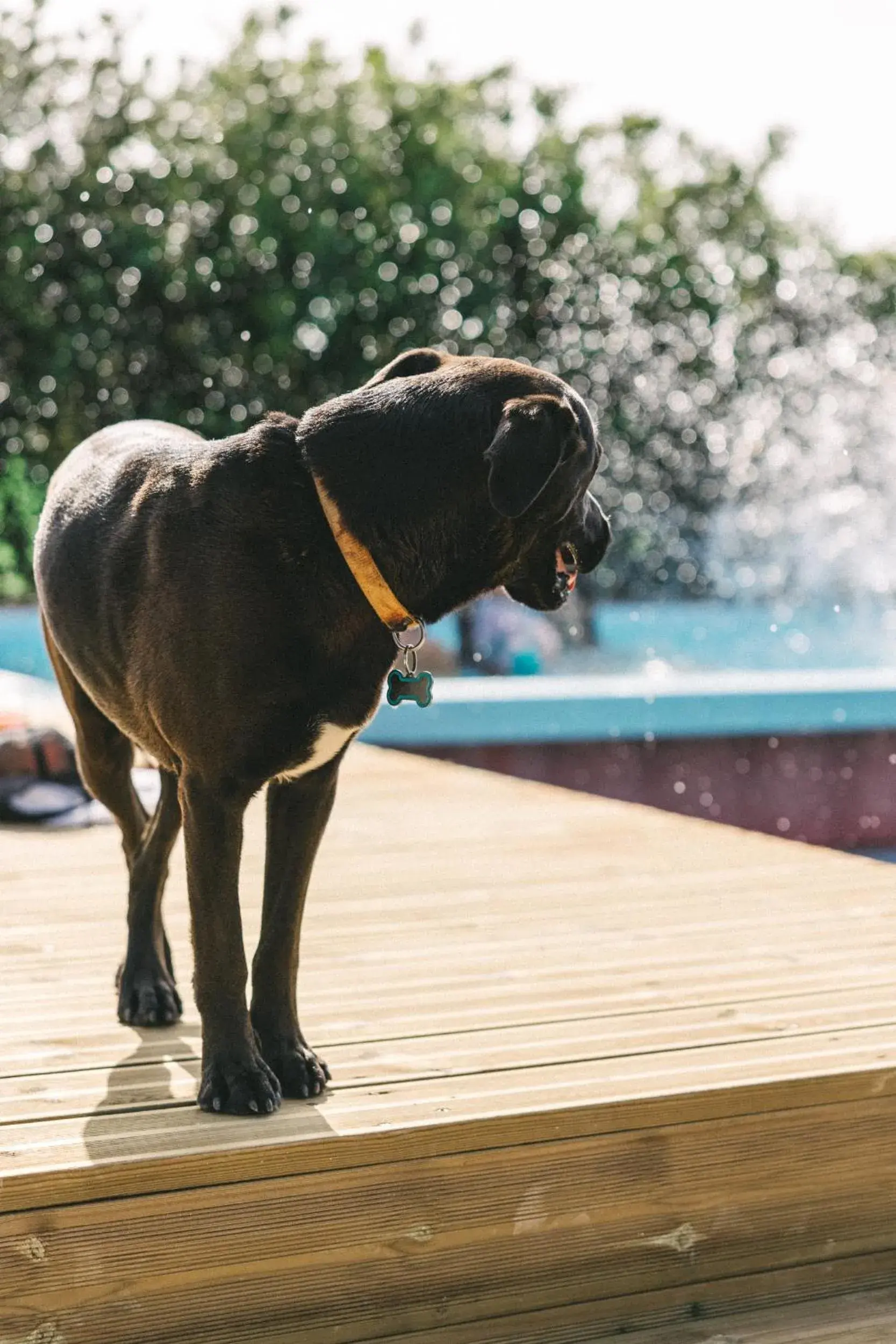 Swimming pool in You and the sea Swimming pool in You and the sea