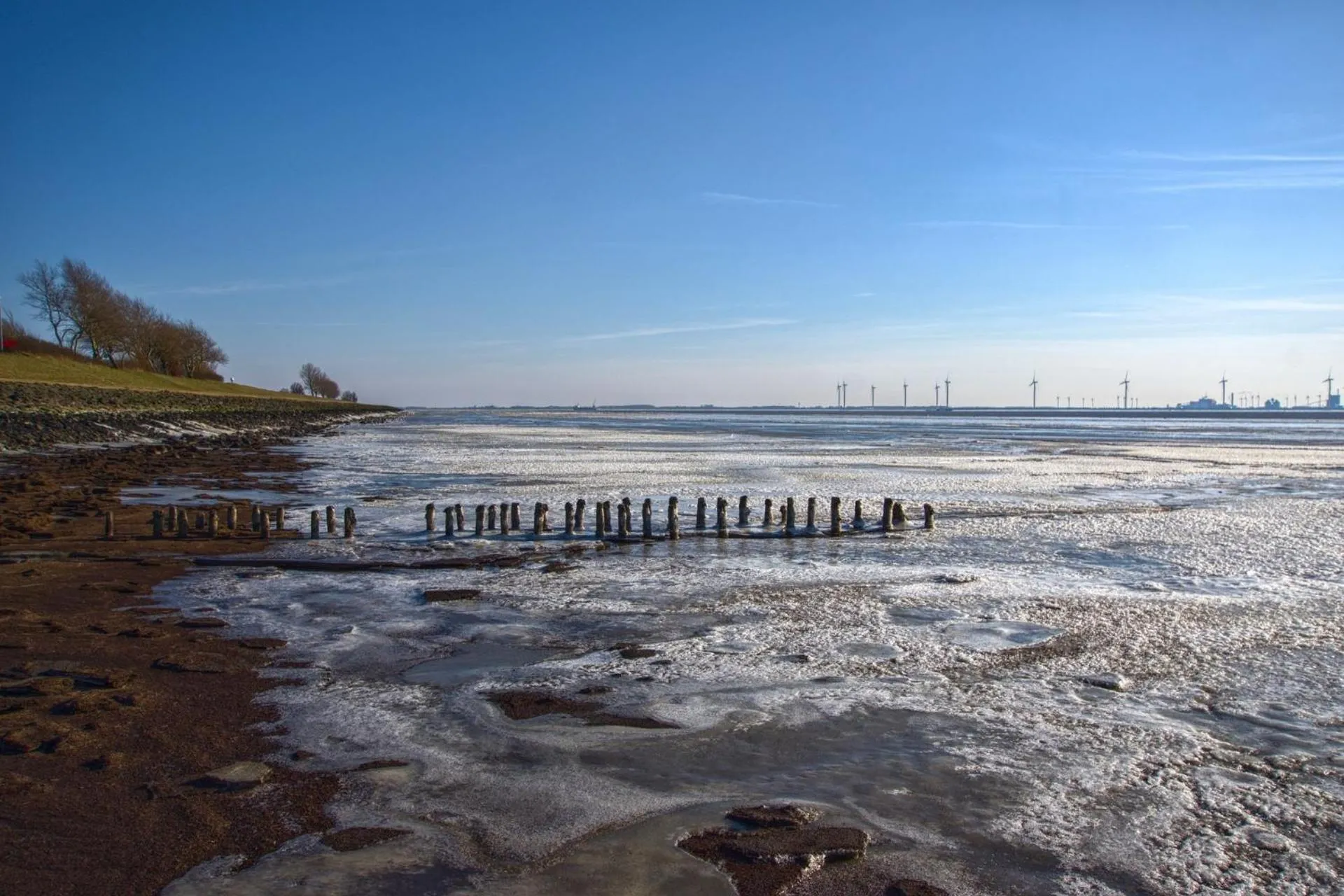 Natural landscape in Apartment am Wall