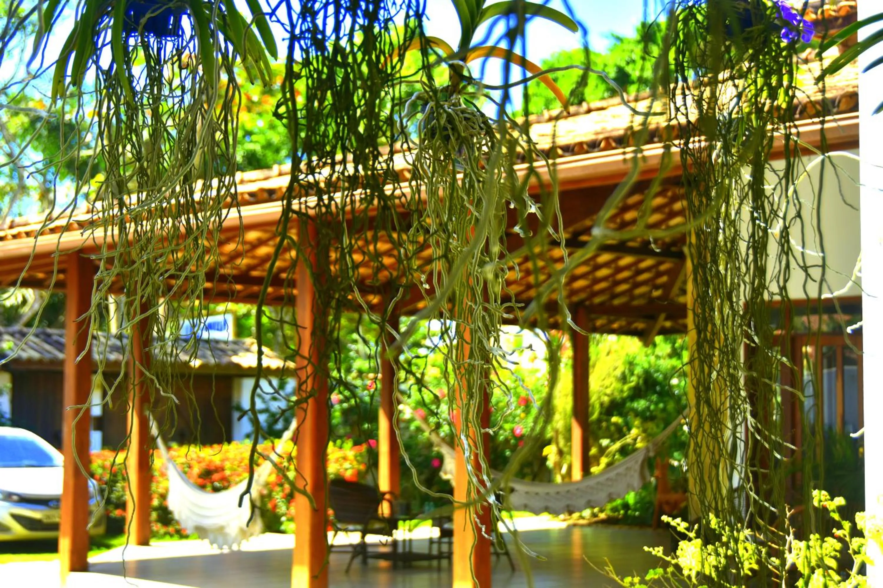 Garden in Pousada Lua e Mar