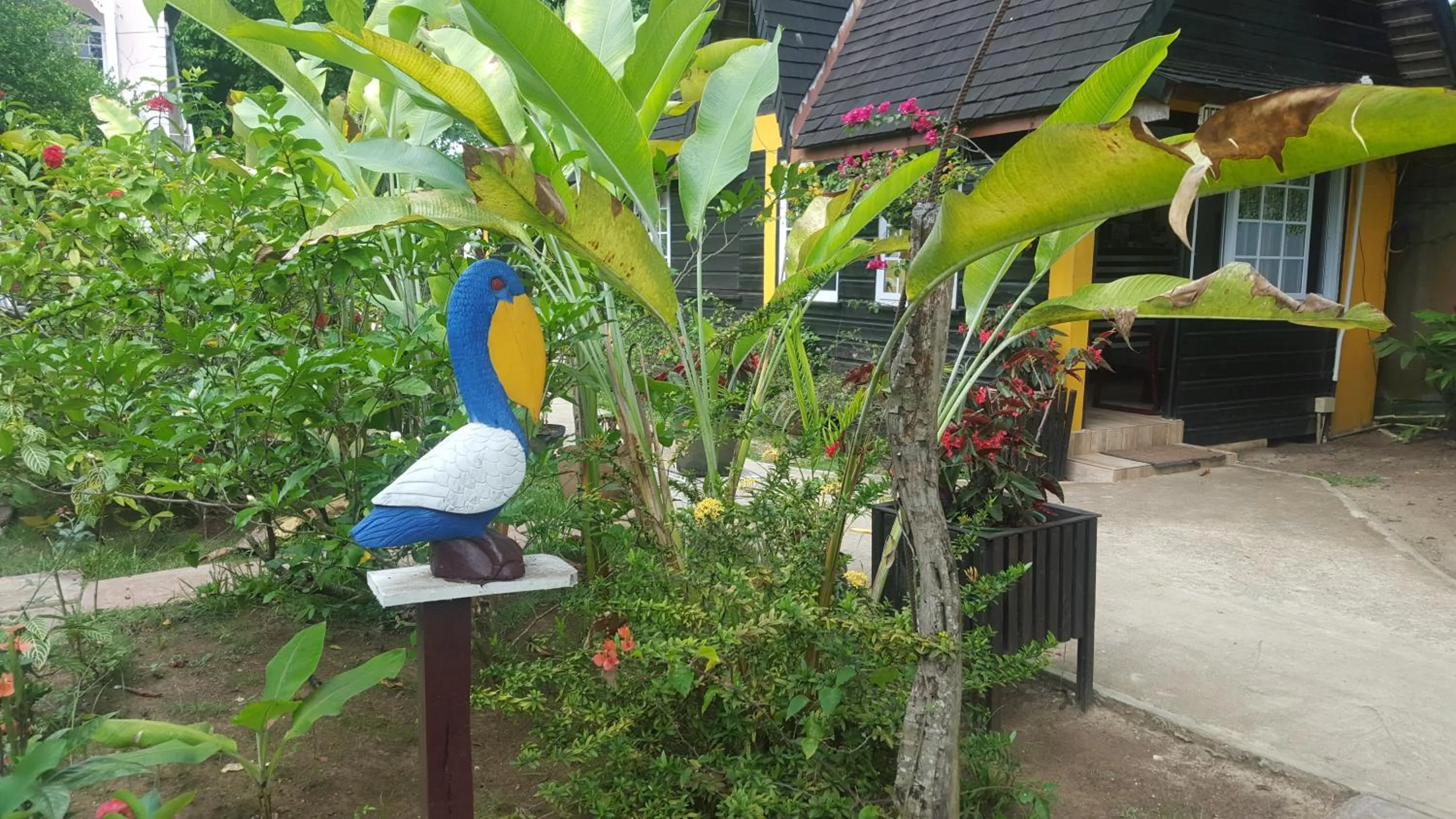 Garden in Secret Cabins at Firefly Beach Cottage
