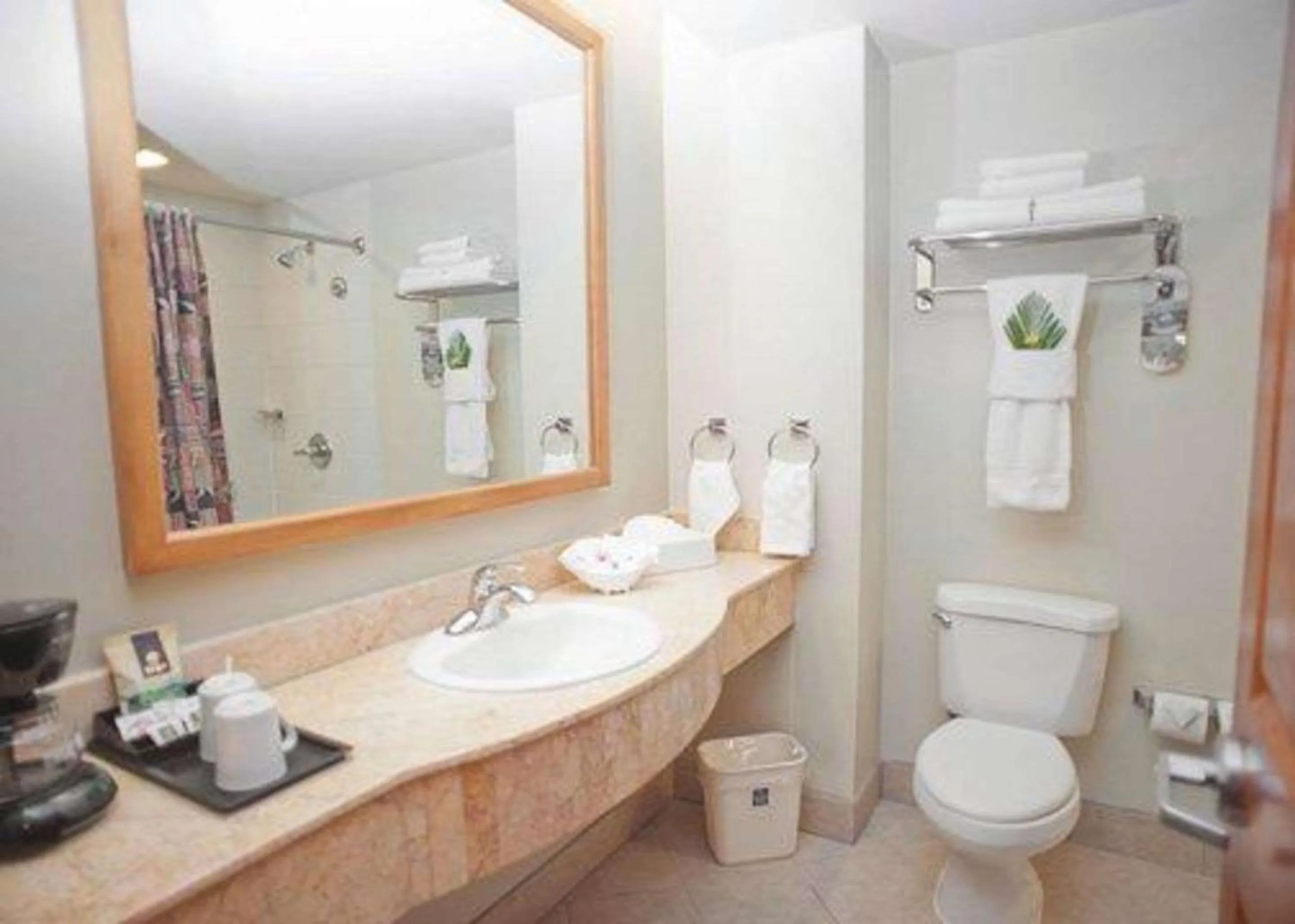 Bathroom in Sleep Inn Paseo Las Damas