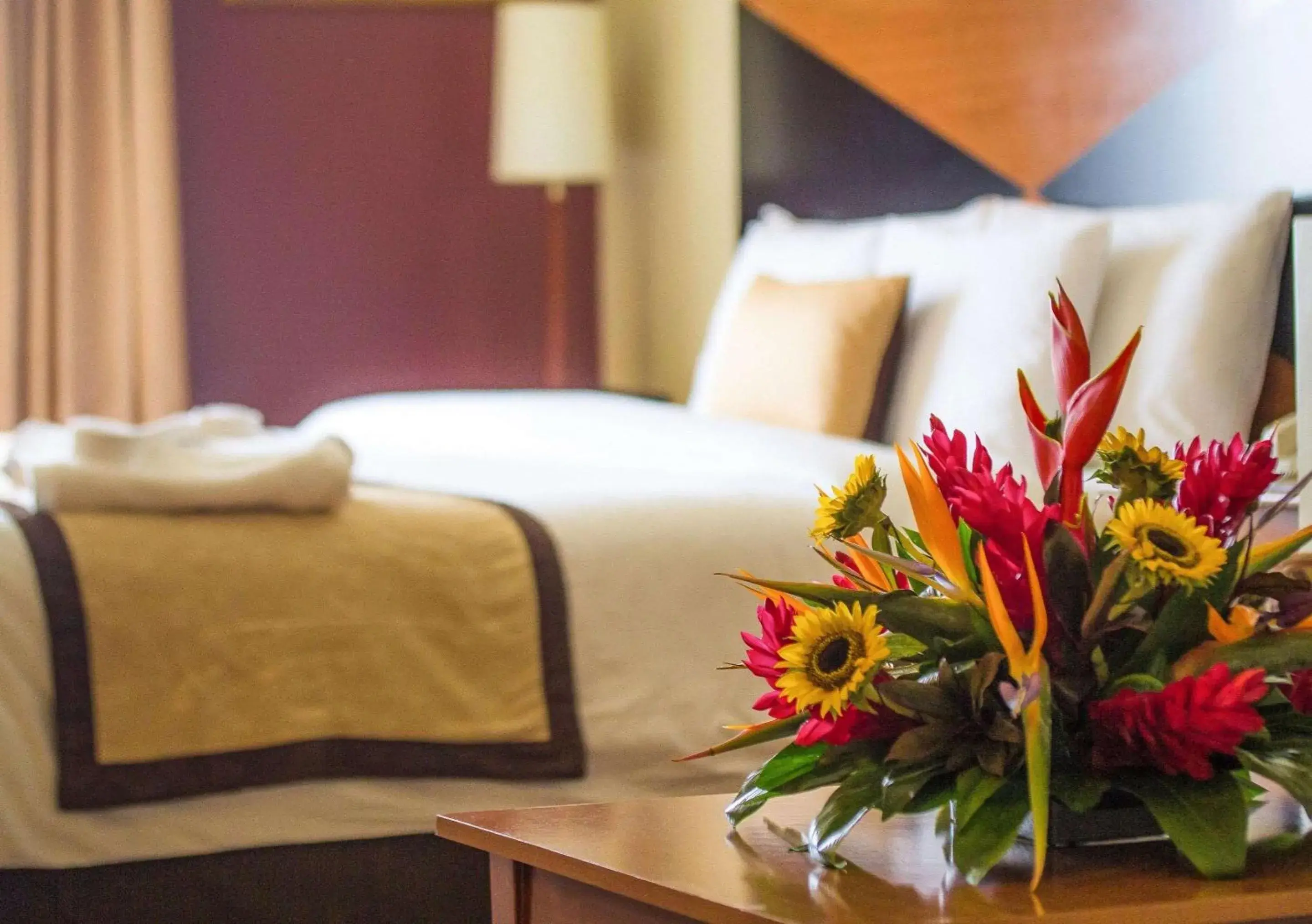 Photo of the whole room, Bed in Sleep Inn Paseo Las Damas Photo of the whole room, Bed in Sleep Inn Paseo Las Damas