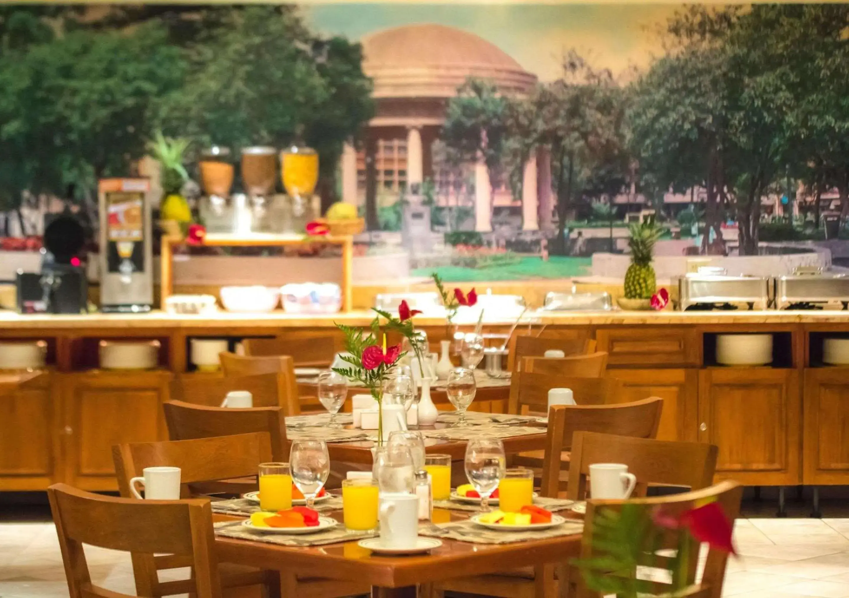 Restaurant/places to eat in Sleep Inn Paseo Las Damas Restaurant/places to eat in Sleep Inn Paseo Las Damas