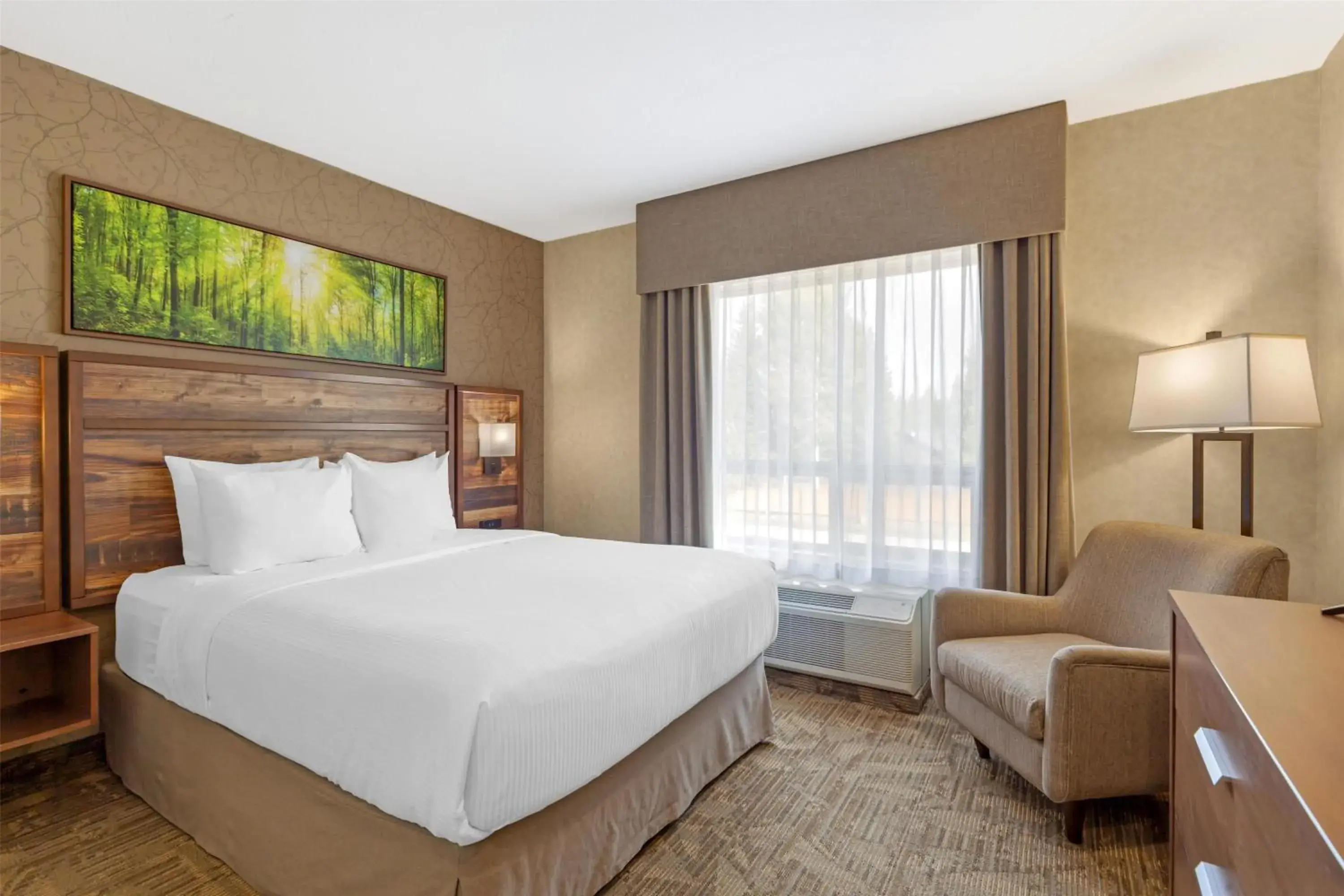 Photo of the whole room, Bed in Best Western Plus Valemount Inn & Suites Photo of the whole room, Bed in Best Western Plus Valemount Inn & Suites