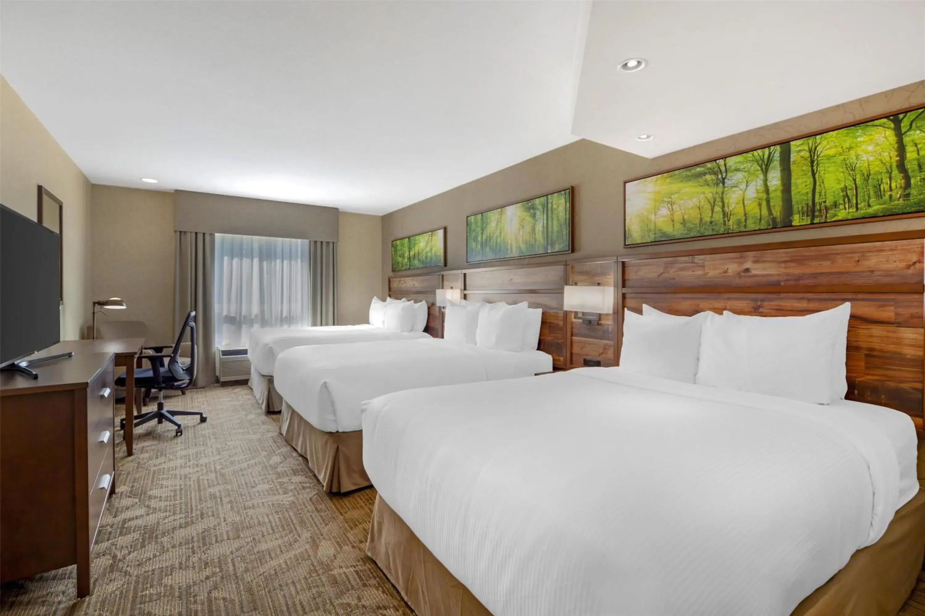 Bedroom, Bed in Best Western Plus Valemount Inn & Suites Bedroom, Bed in Best Western Plus Valemount Inn & Suites