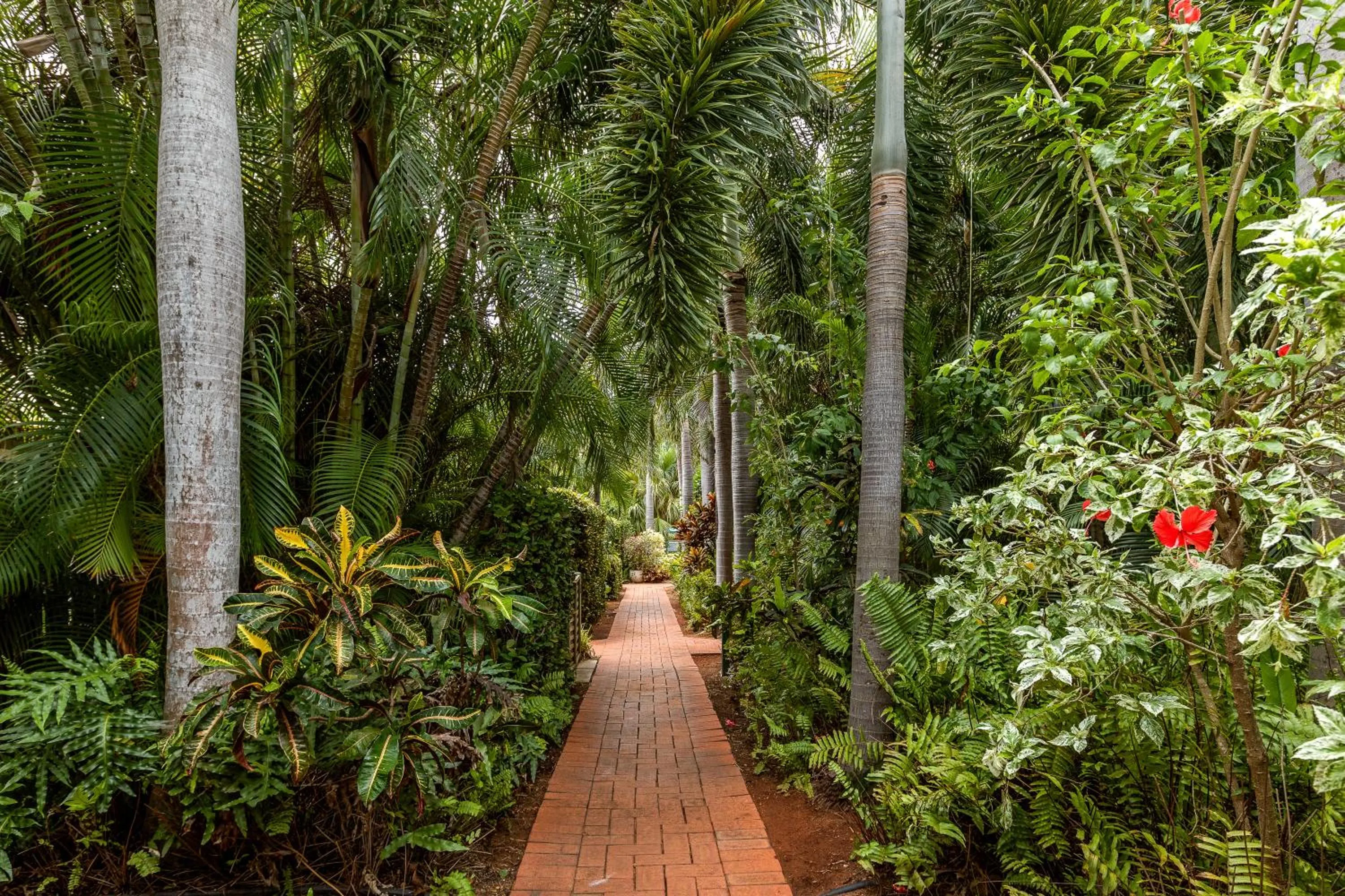 Garden in Cable Beachside Villas