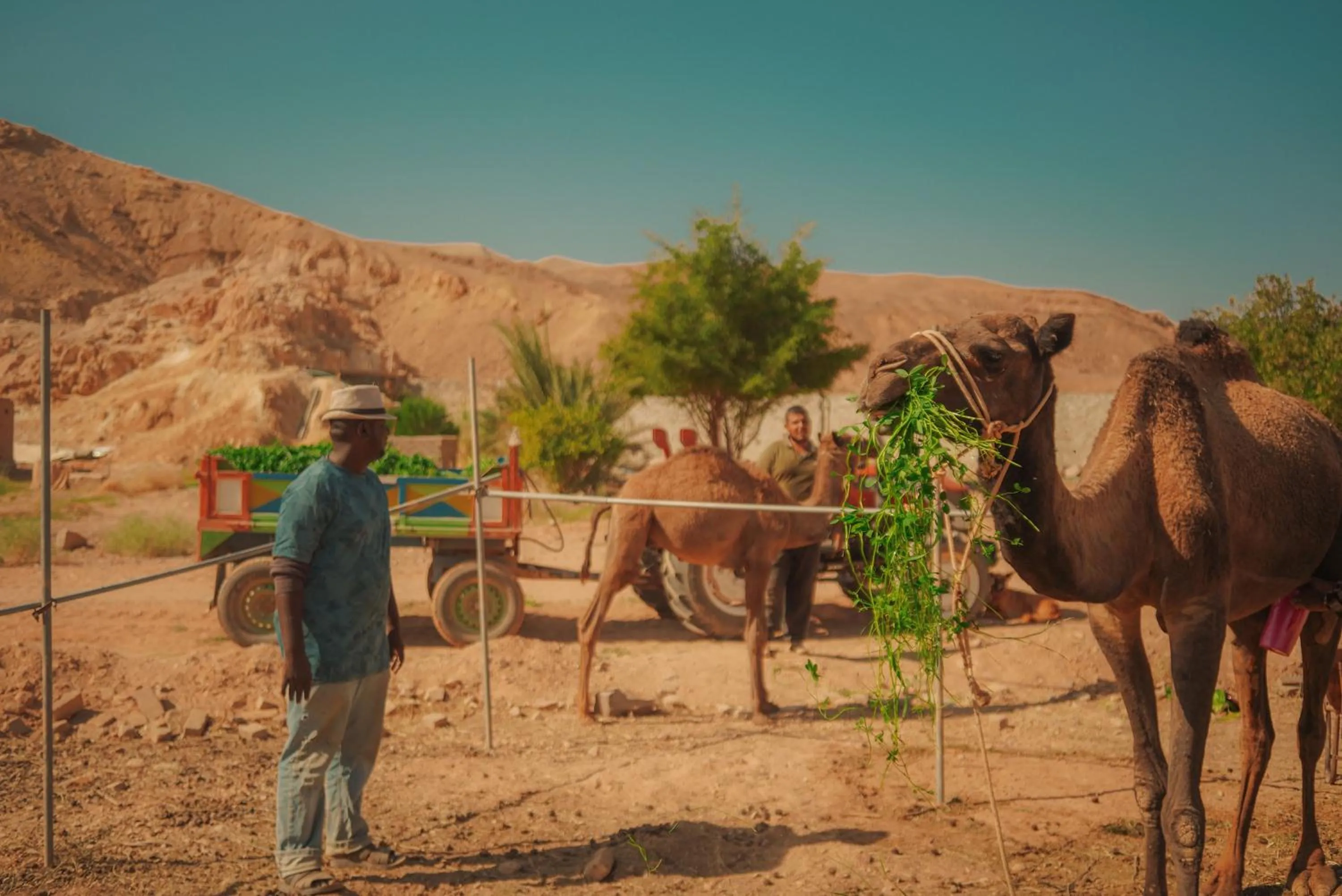 Sheikh Ali Dahab Resort