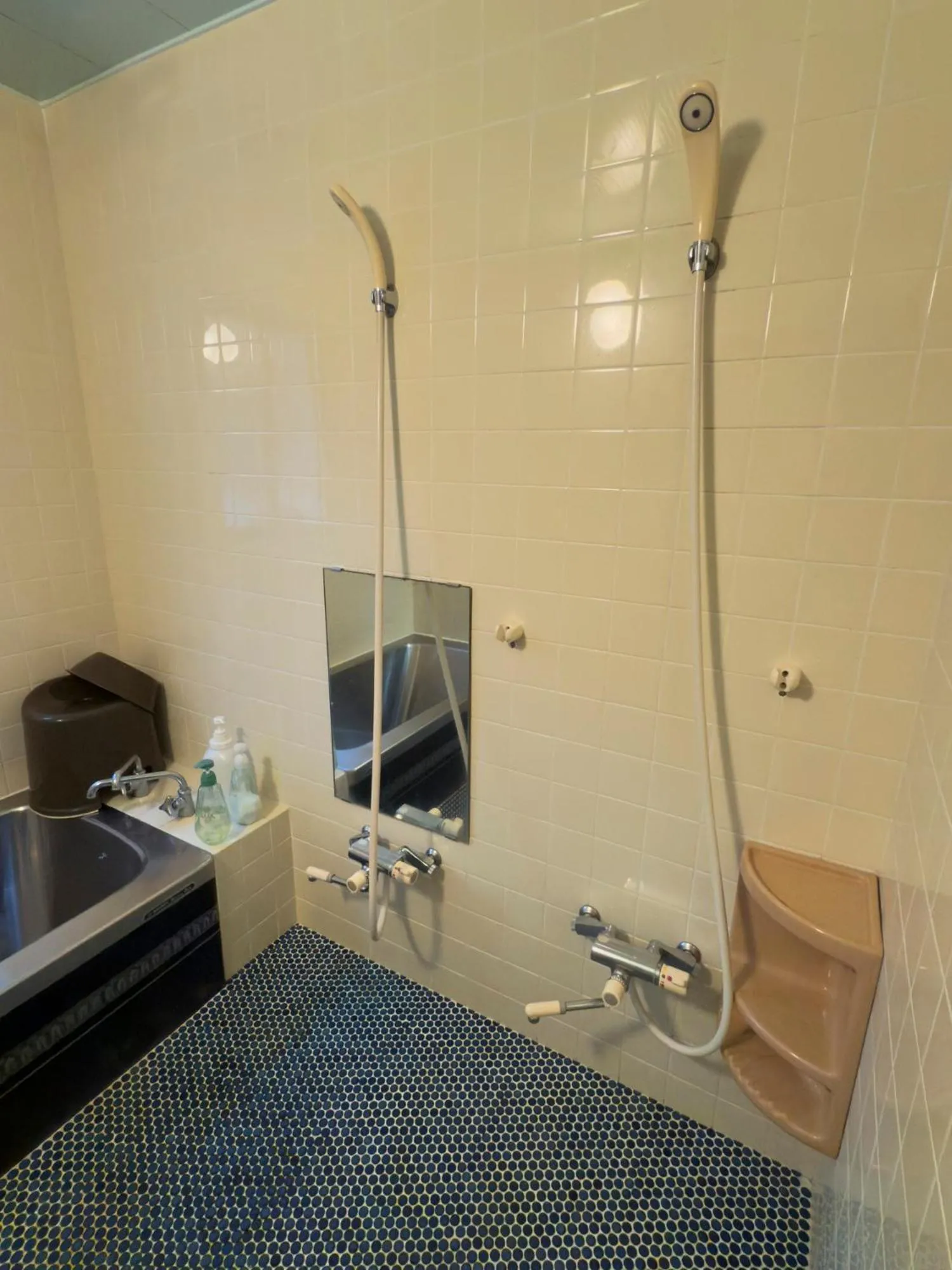 Shower in Santana Lodge Hakuba