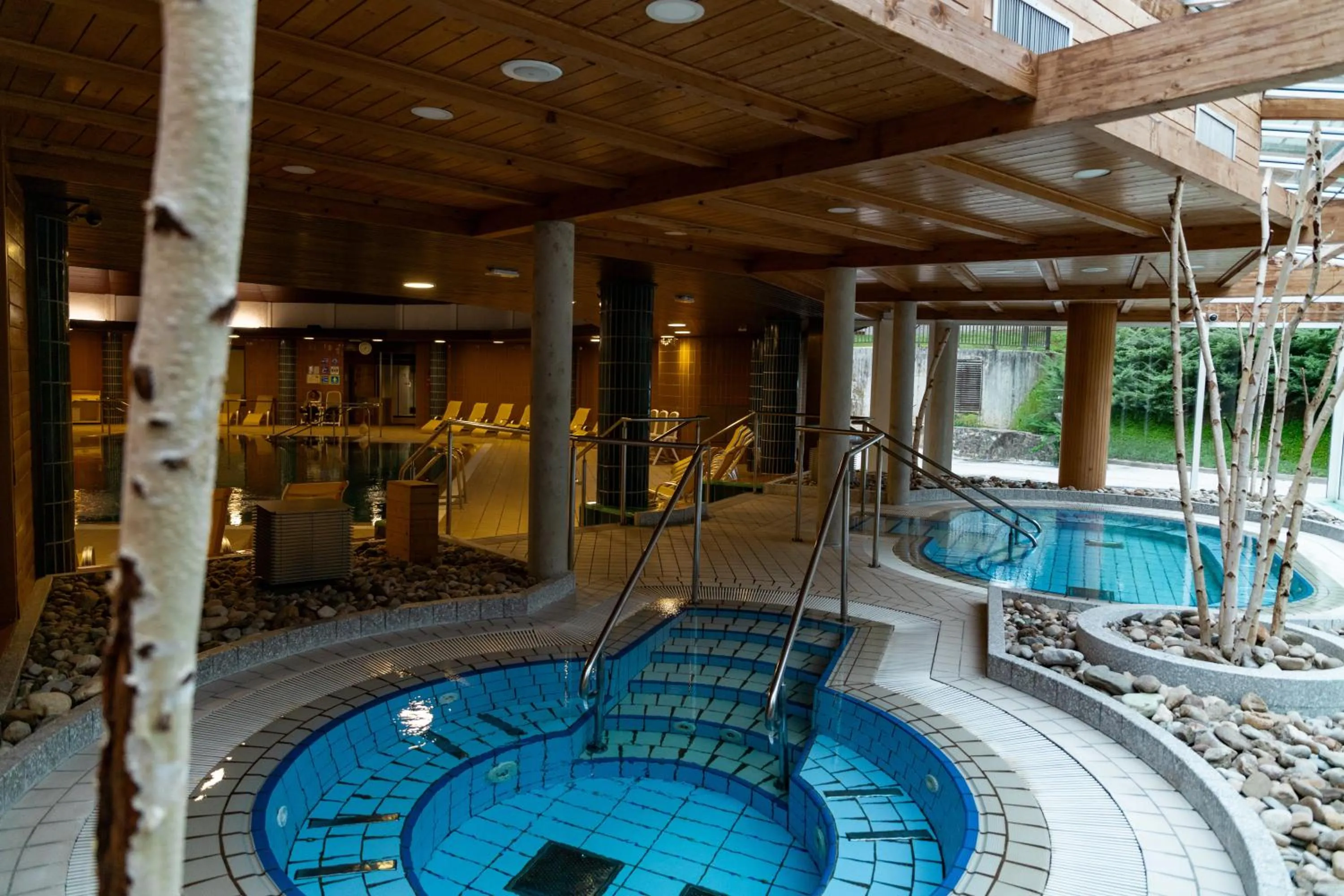 Swimming pool in Hotel Vitarium Superior - Terme Krka