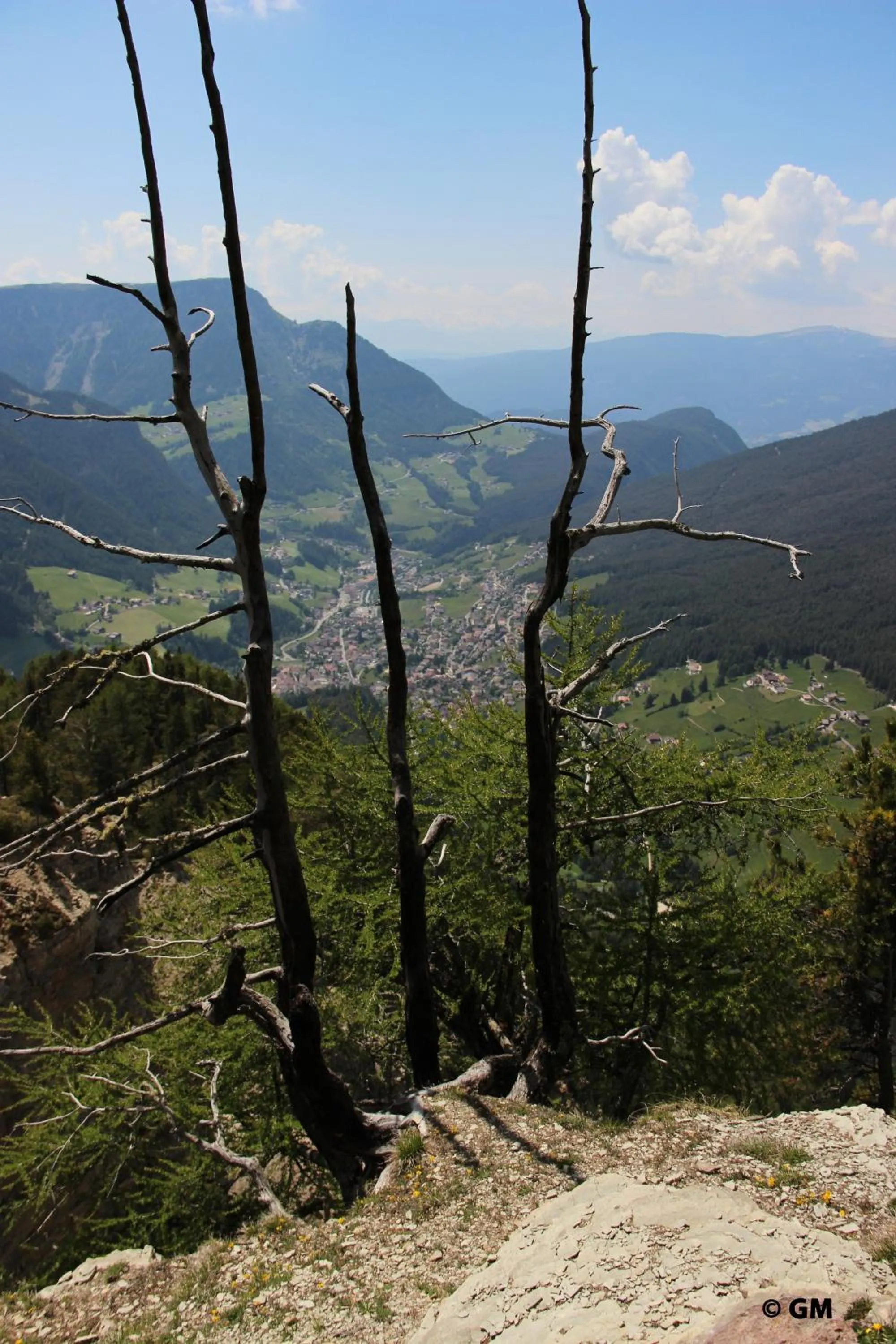 Other in Hotel Villa Emilia