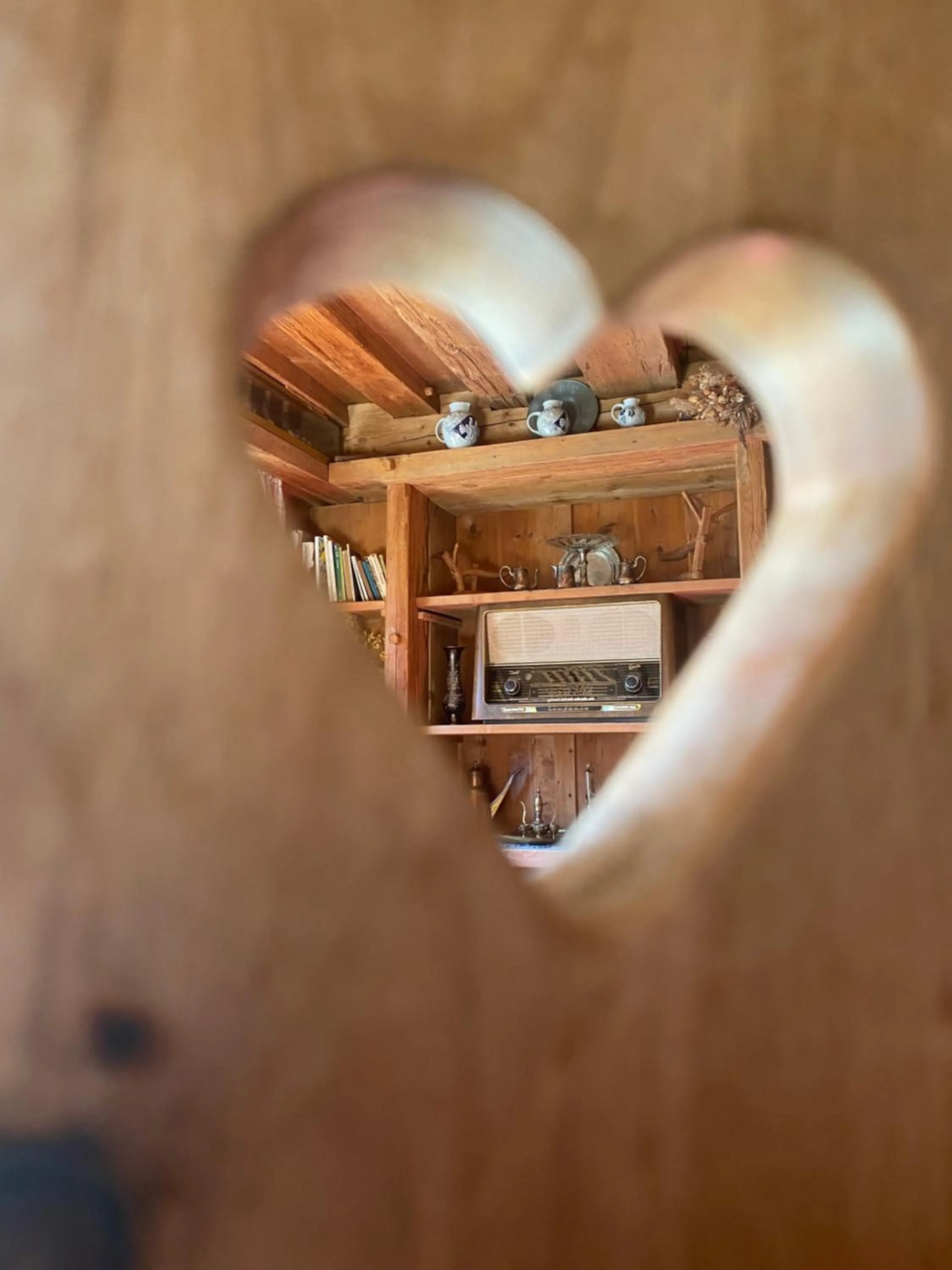 Restaurant/places to eat in Hotel Villa Emilia